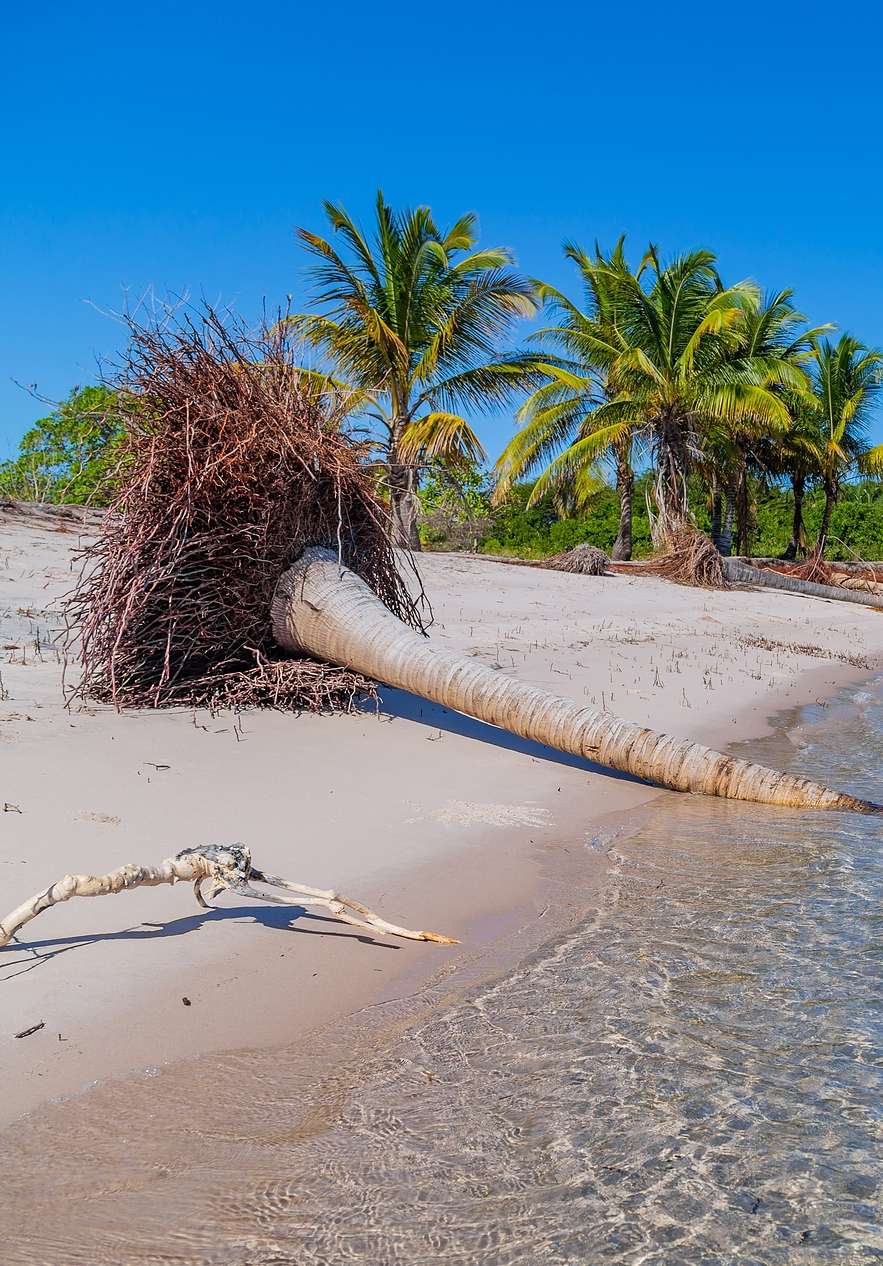 Isla Inhaca, un paraíso con playas de arena blanca, aguas cristalinas y palmeras