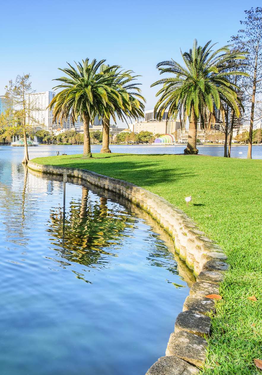Vista de un lago tranquilo con cisnes blancos, en un día de cielo azul con pocas nubes y la ciudad de Orlando al fondo