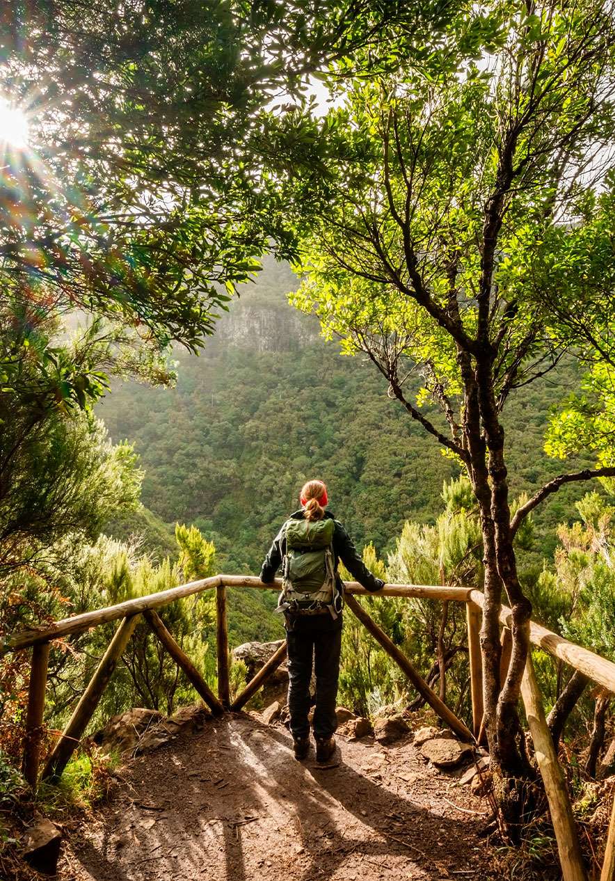 Mujer asoma por una clara en la naturaleza, junto a una cerca de madera con mochila