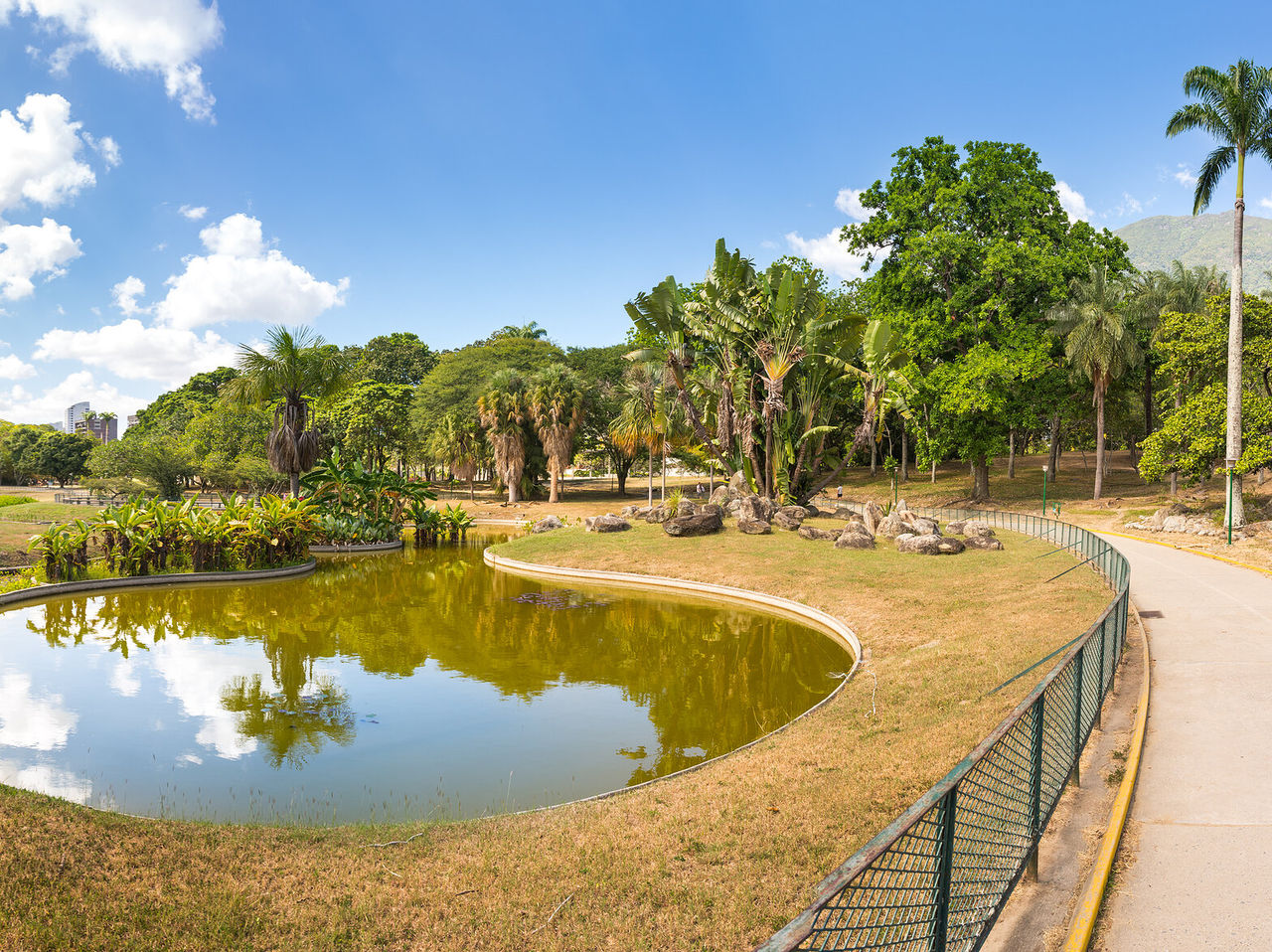 Lago artificial com formato curvilíneo num parque em Caracas, cercado por árvores e com um céu azul