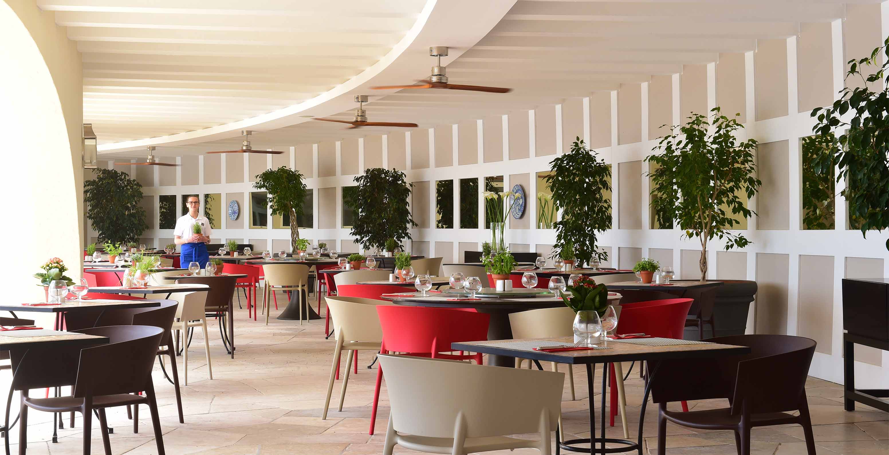 Die Bar Oceano, im 5-Sterne-Hotel in der Algarve, hat eine Außenterrasse mit kleinen Bäumen und bunten Stühlen