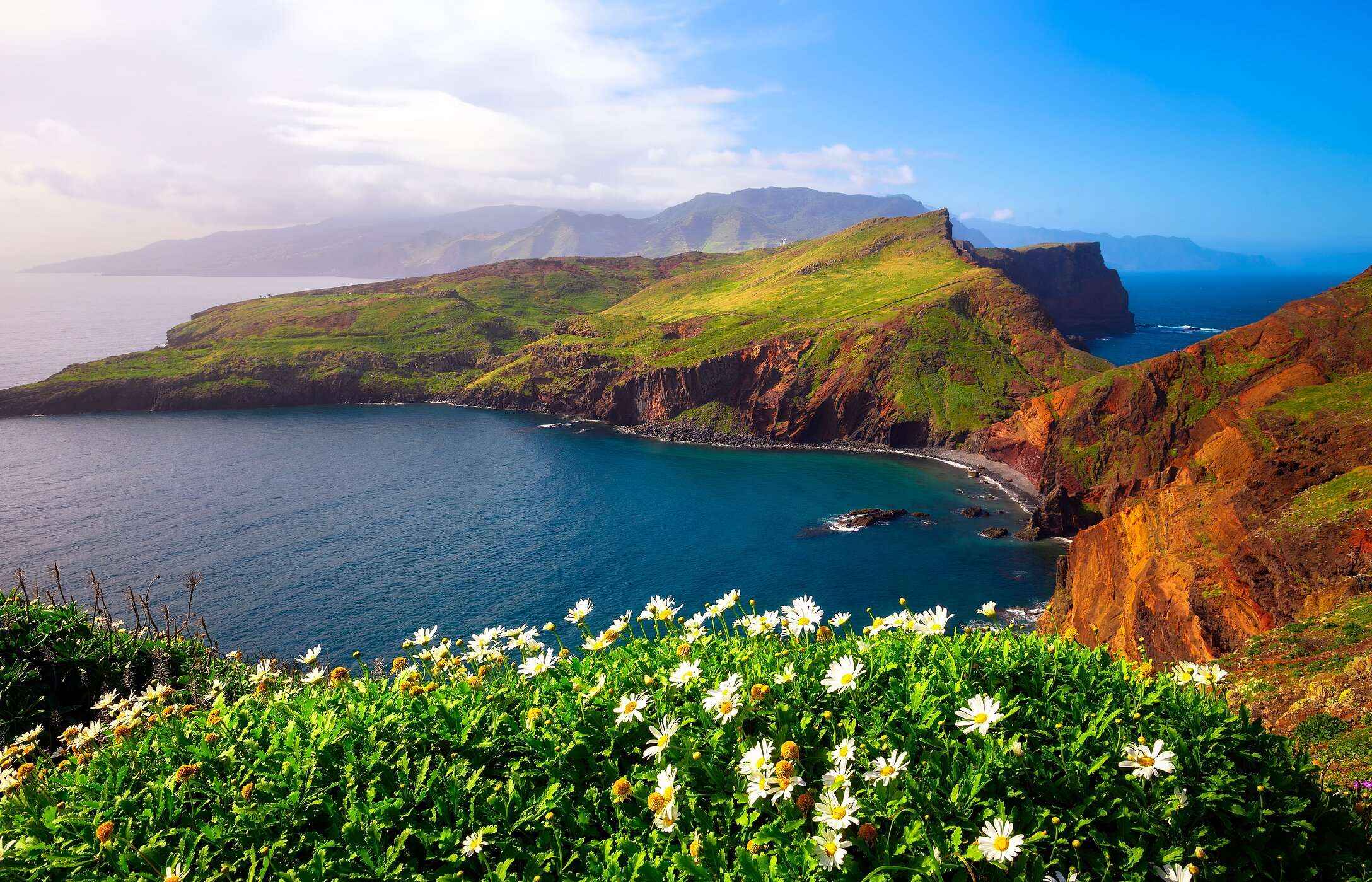 Blick auf die ikonische Ponta de São Lourenço auf Madeira, umgeben vom Ozean und mit Blumen im Vordergrund.