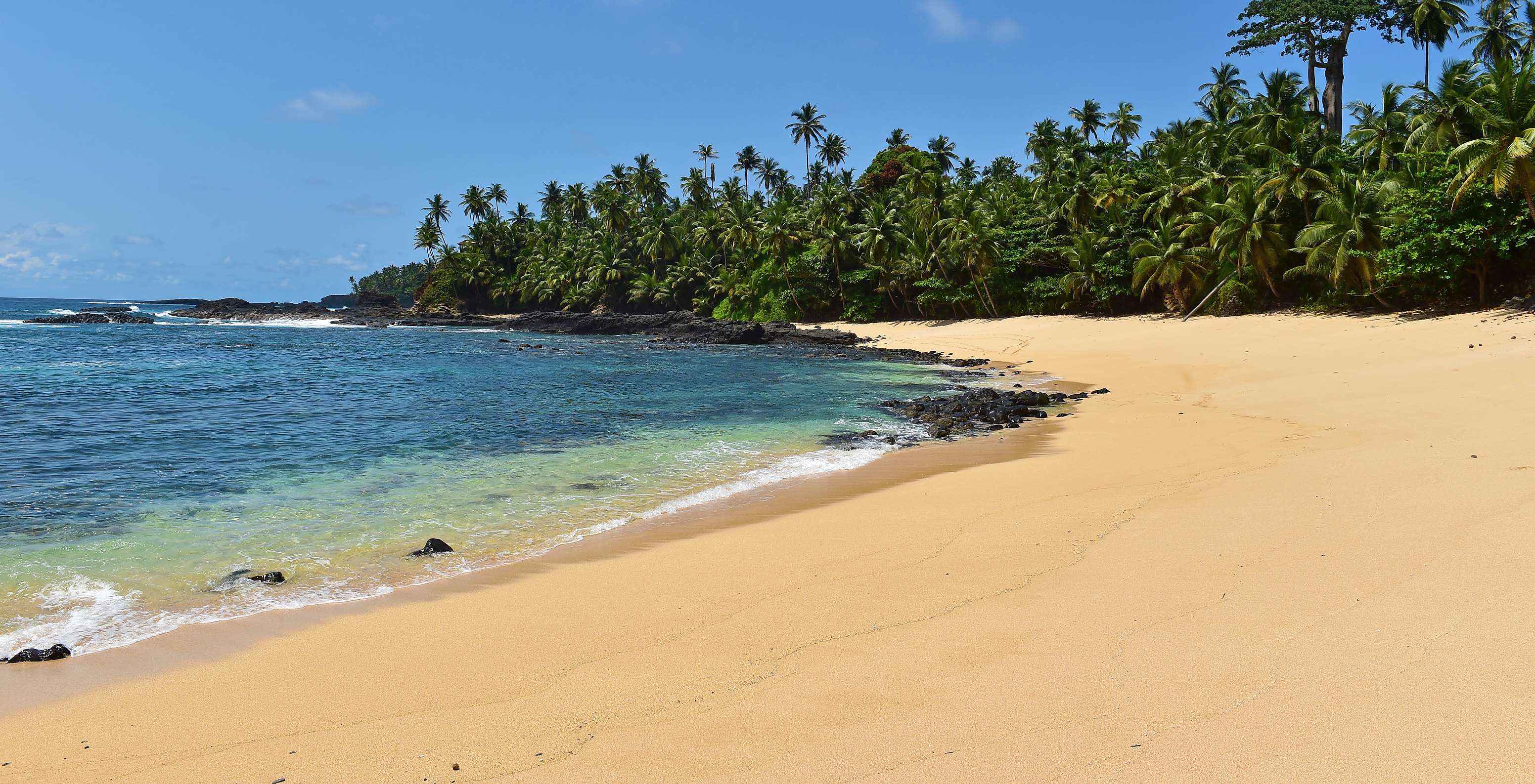 Strand von Ilhéu das Rolas, tropischer Strand mit feinem, hellem Sand, kristallklarem Wasser und vielen Palmen