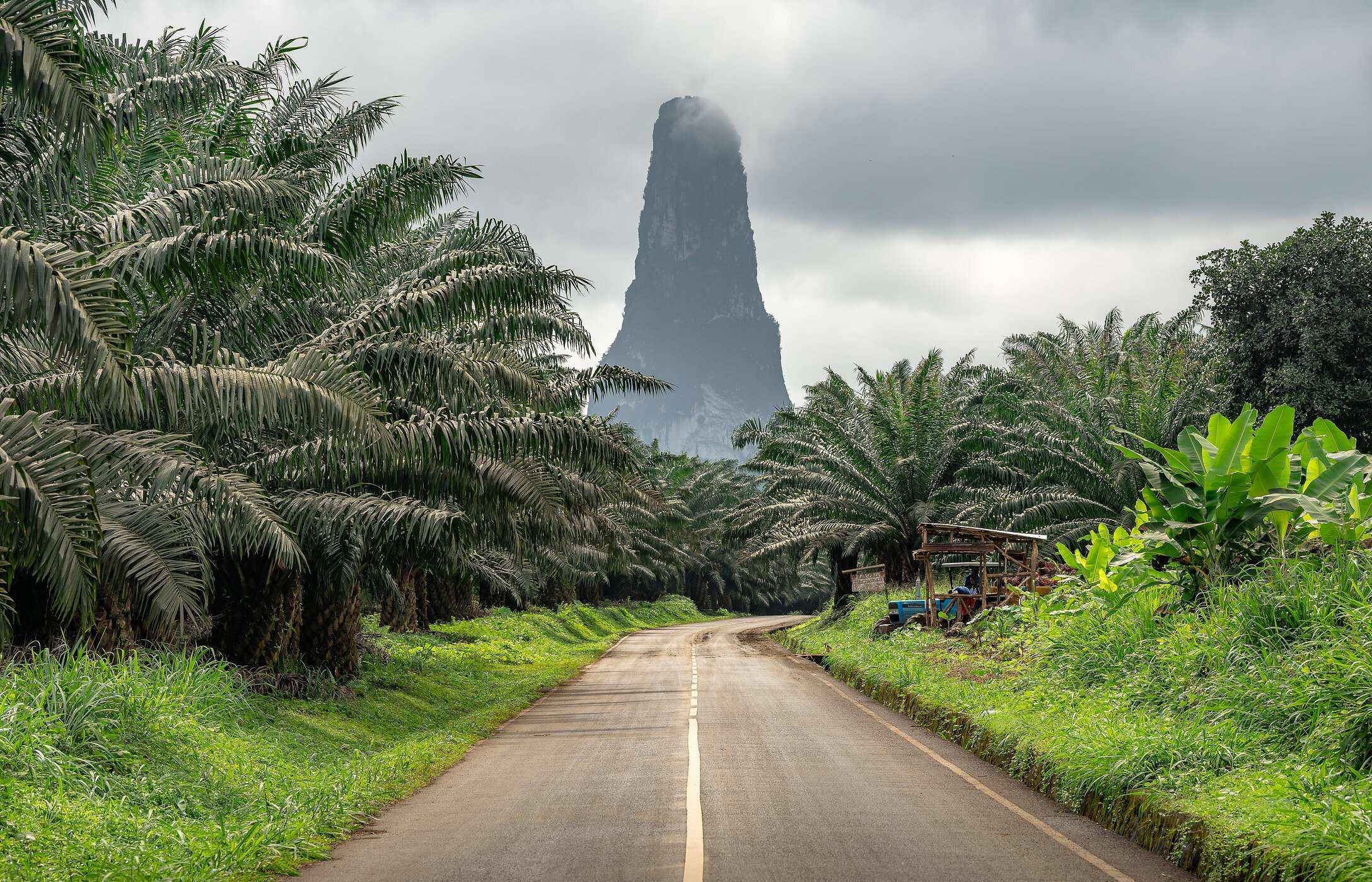 Pico Cão Grande, sichtbar von fast der ganzen Insel und von der Straße mit Palmen herum