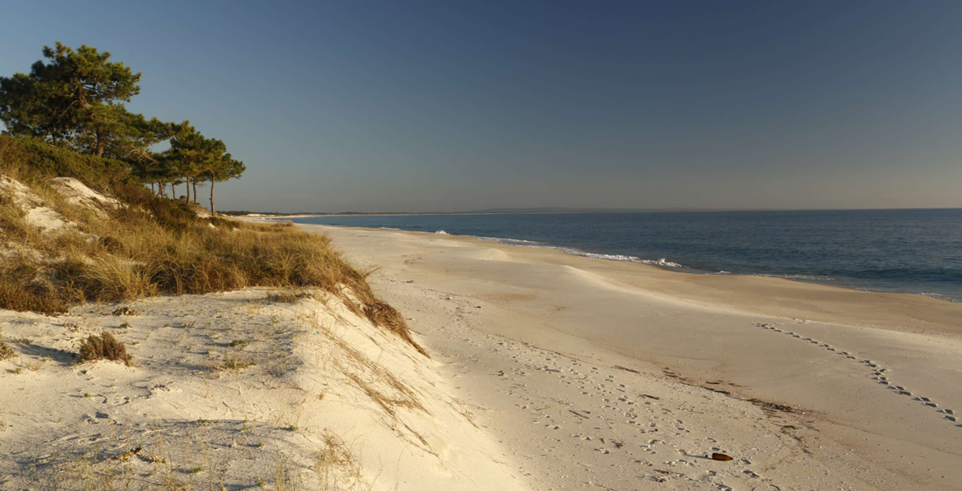 Extensive sandy beach of Praia de Soltroia at sunset, with vegetation on the dunes and calm sea