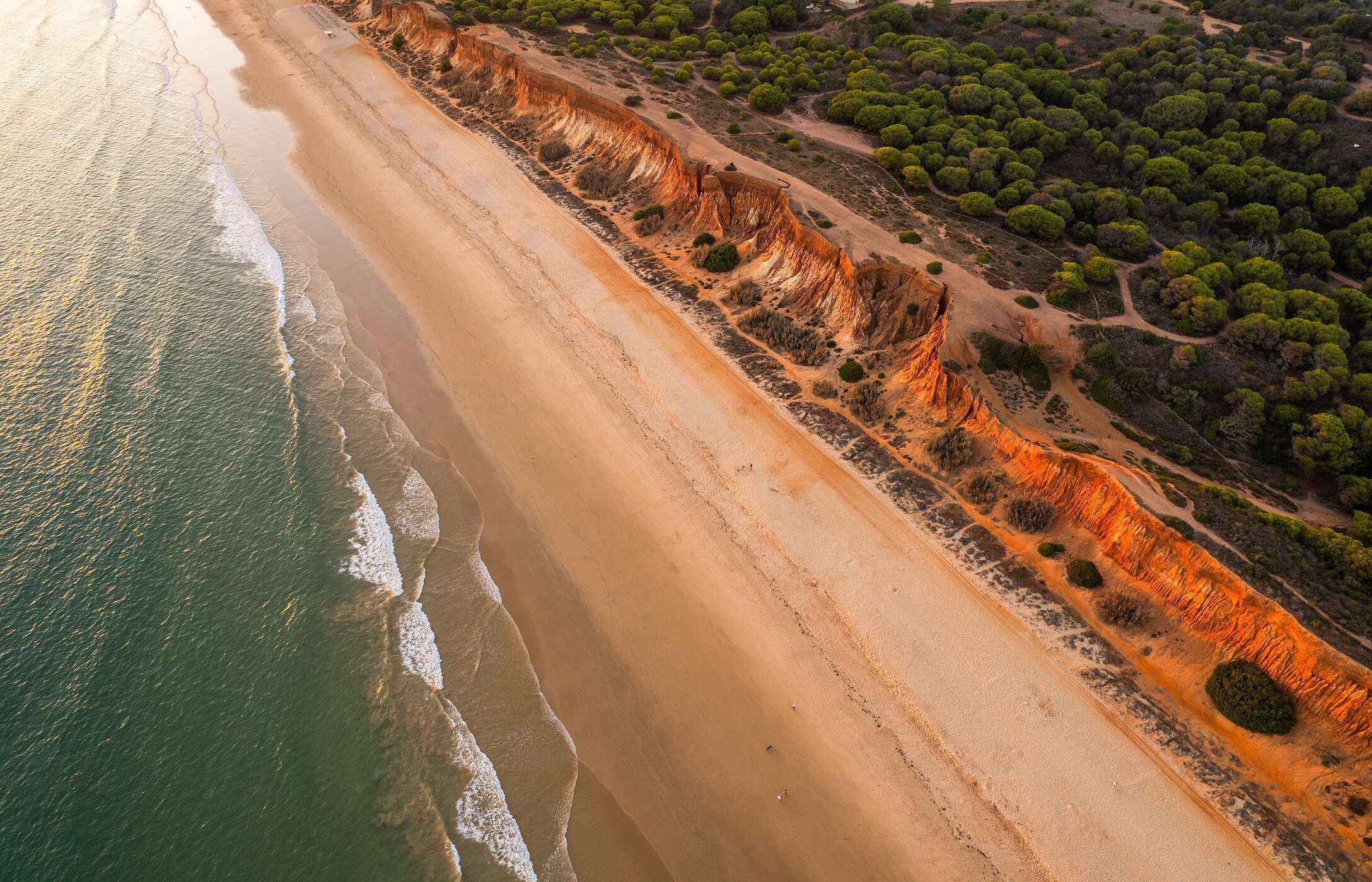 Aerial view of Praia da Falésia, in the Algarve, with a vast golden sandy beach along the coast and crystal-clear waters