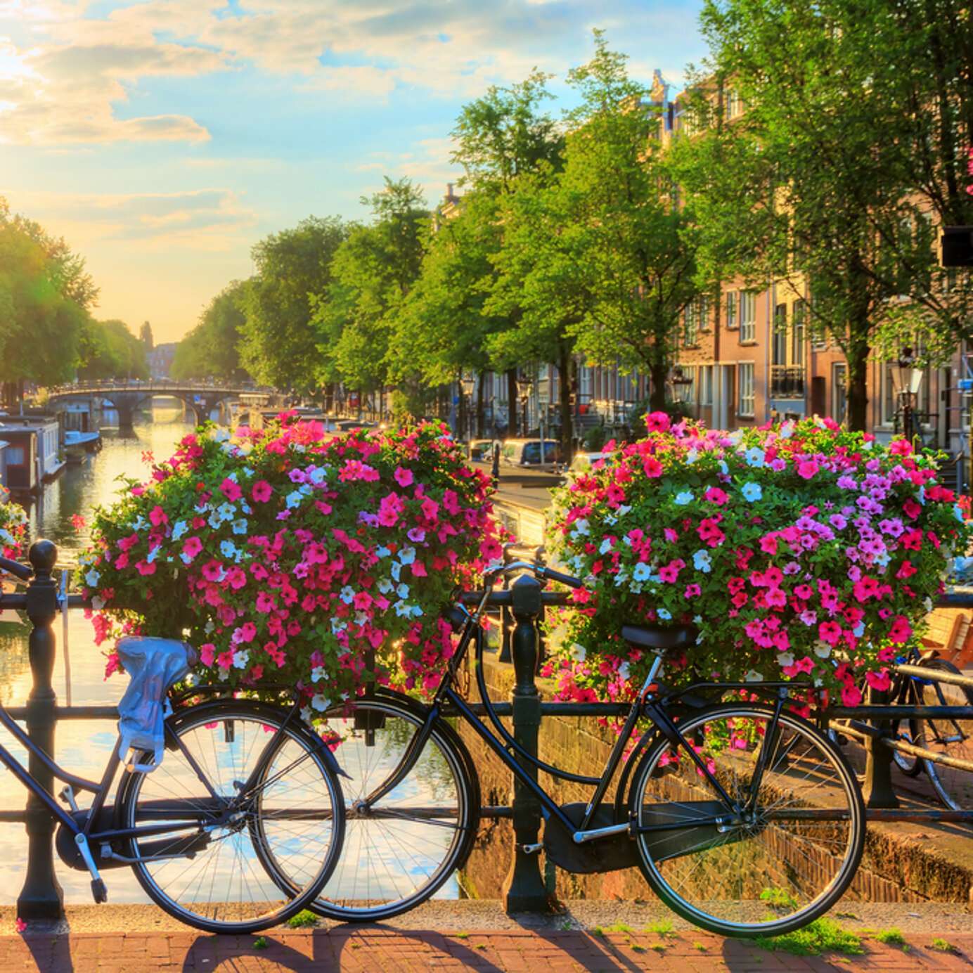 Stay at a Pestana hotel and rent a bike to ride along the flower-lined canals of Amsterdam, Netherlands.
