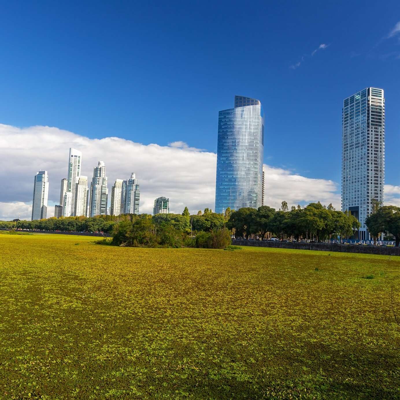 Stay at a Pestana hotel and explore the tall and modern buildings surrounded by greenery in Buenos Aires, Argentina.