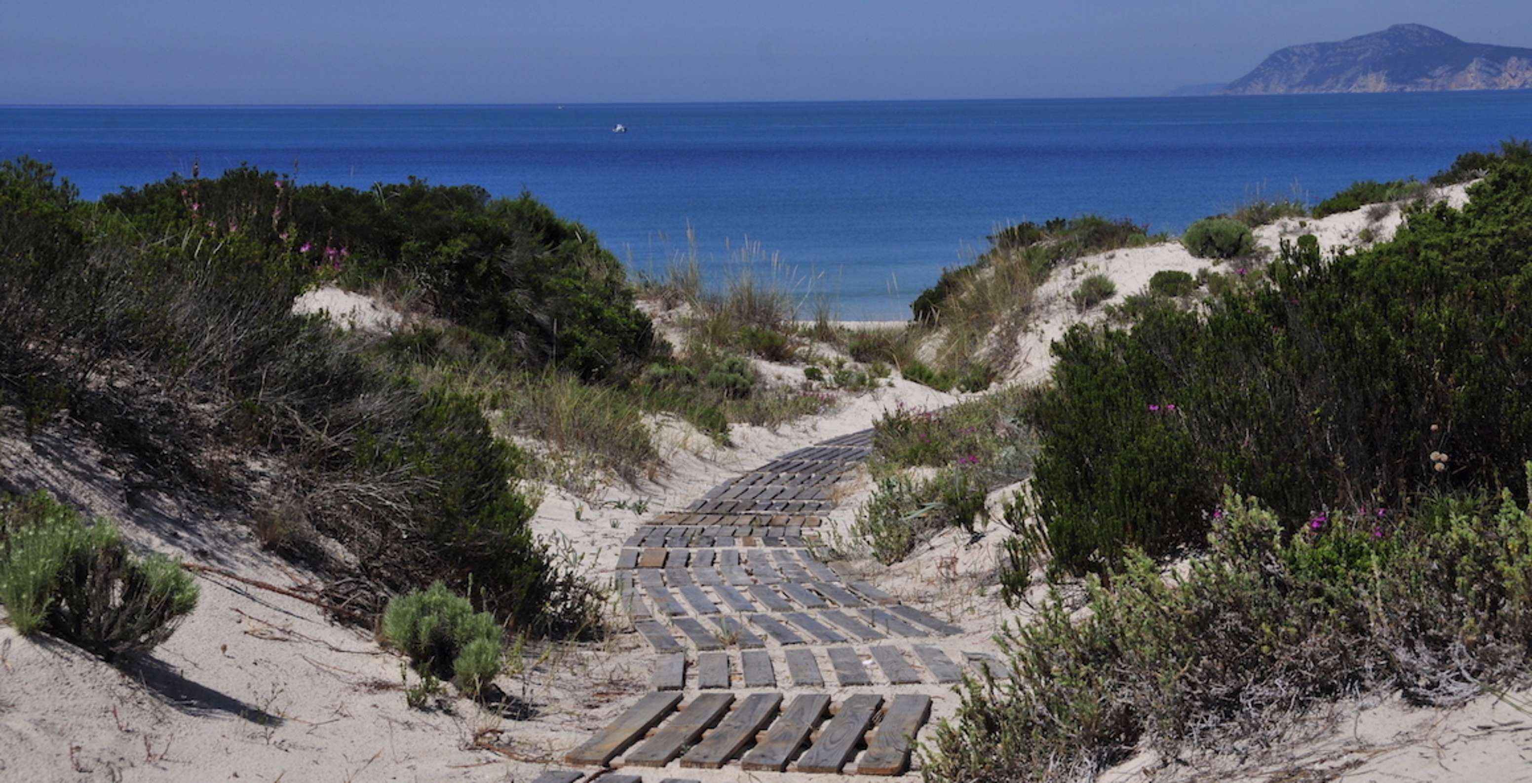 Wooden walkway providing direct access to Praia de Soltroia from Pestana Tróia Eco Resort