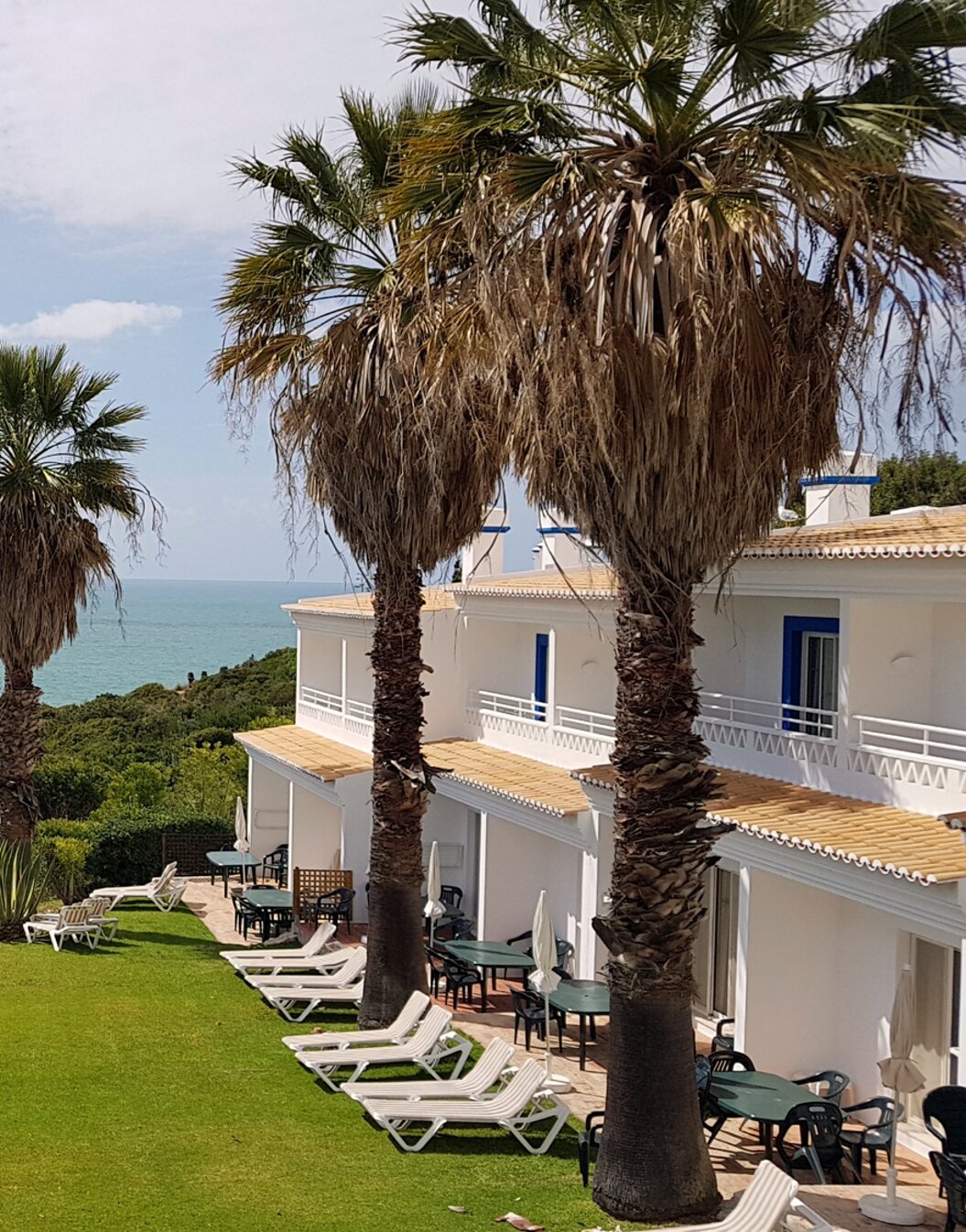 Villas en Pestana Palm Gardens en Carvoeiro, con jardín y palmeras al frente y vista al mar y horizonte