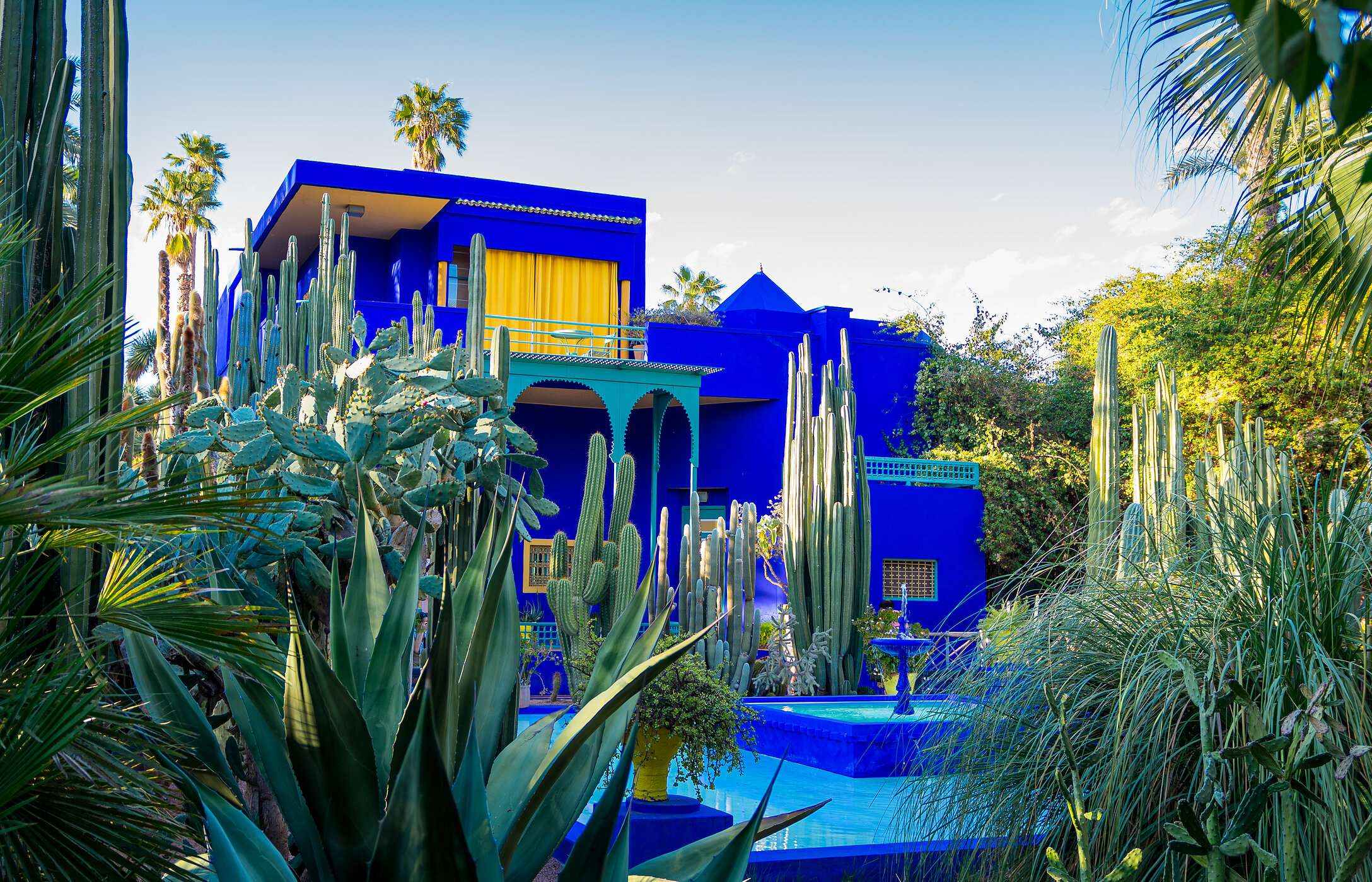 El Jardín Majorelle con una gran diversidad de especies botánicas y una casa azul brillante con cortinas amarillas y una fuente