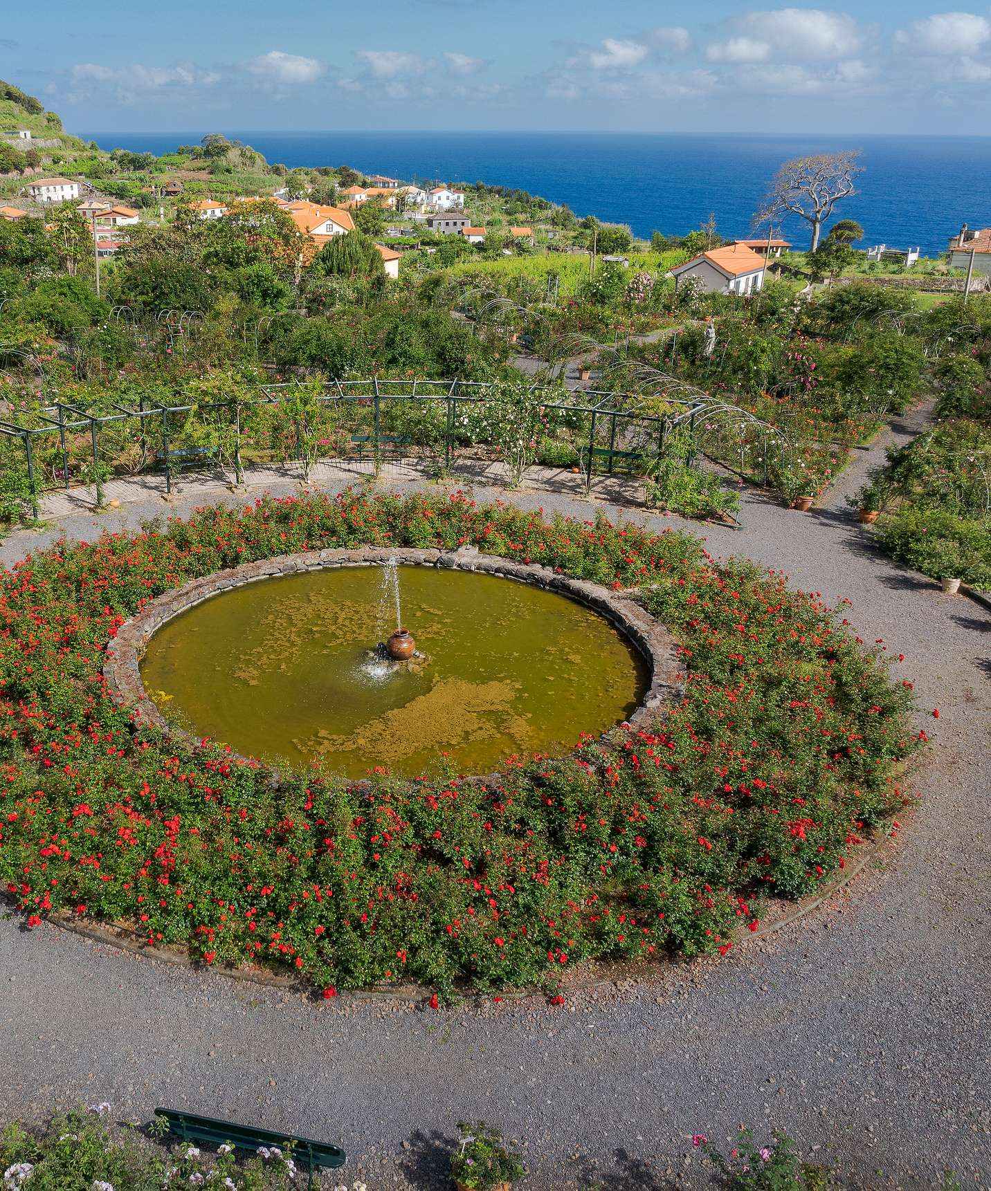 Vista desde arriba del rosal de Quinta do Arco con fuente en el centro, rodeada de diversas flores y vista al mar