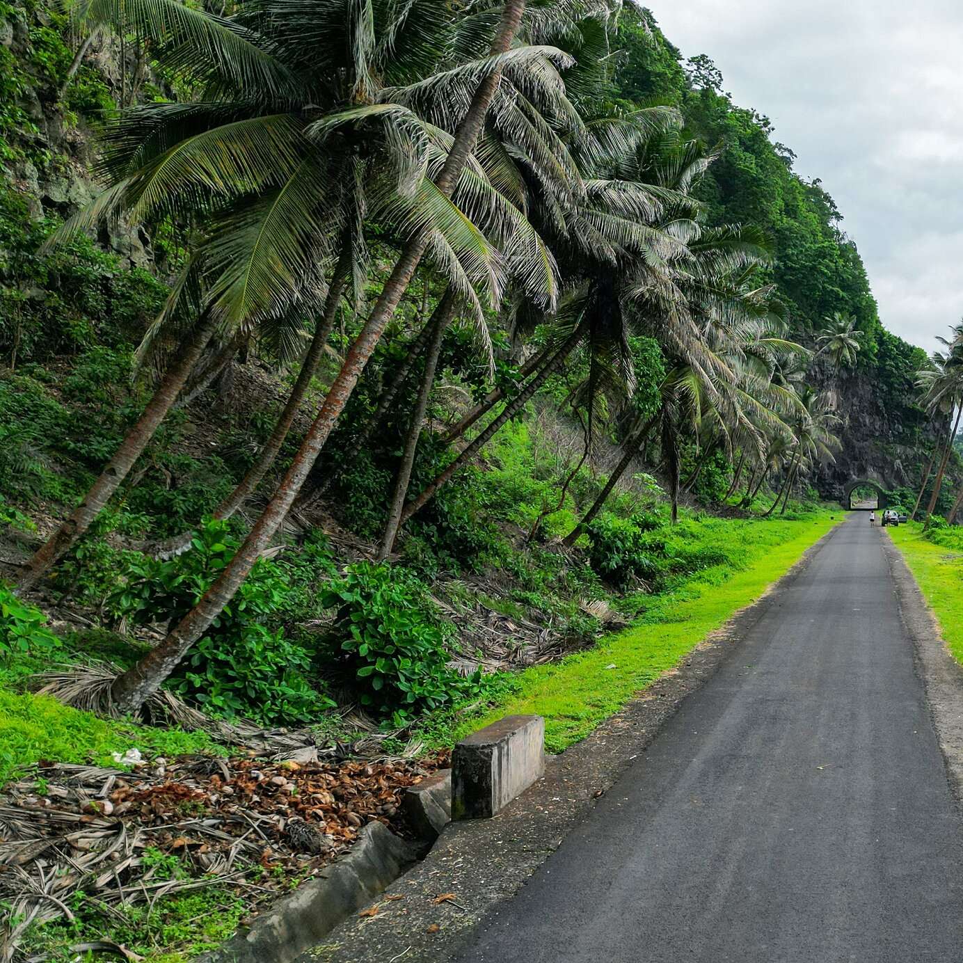 Hospédese en un hotel Pestana y explore São Tomé y Príncipe en coche, en sus carreteras junto al mar, rodeadas de vegetación.