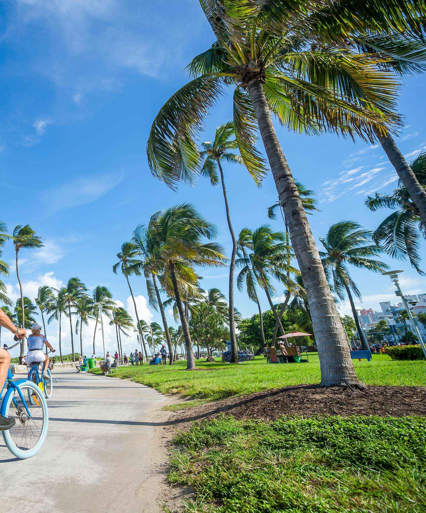 Personas montando bicicleta en un carril bici, en Miami, rodeada de palmeras y con personas en la hierba