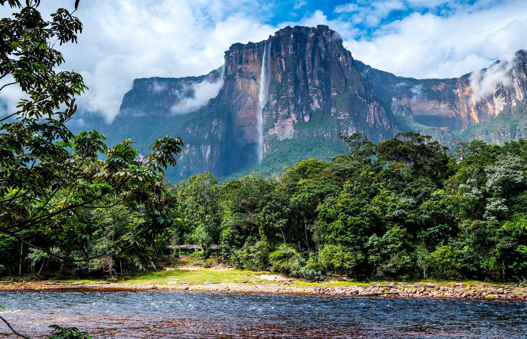 Vista panorámica de las cataratas Ángel en Venezuela, con agua en cascada rodeada de vegetación tropical.