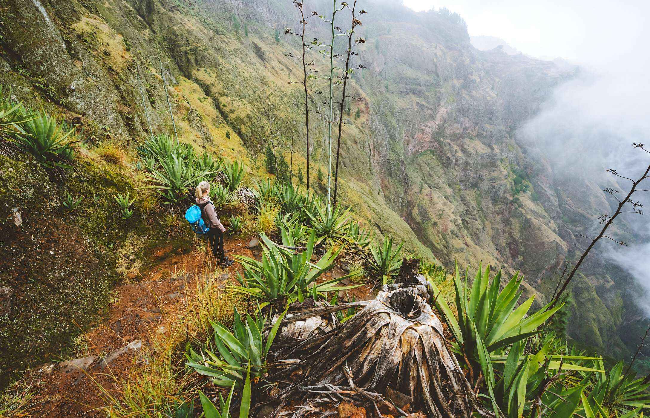 Femme marchant dans un paysage montagneux avec des plantes et une vallée profonde dans le Vale de Paúl, Cap-Vert
