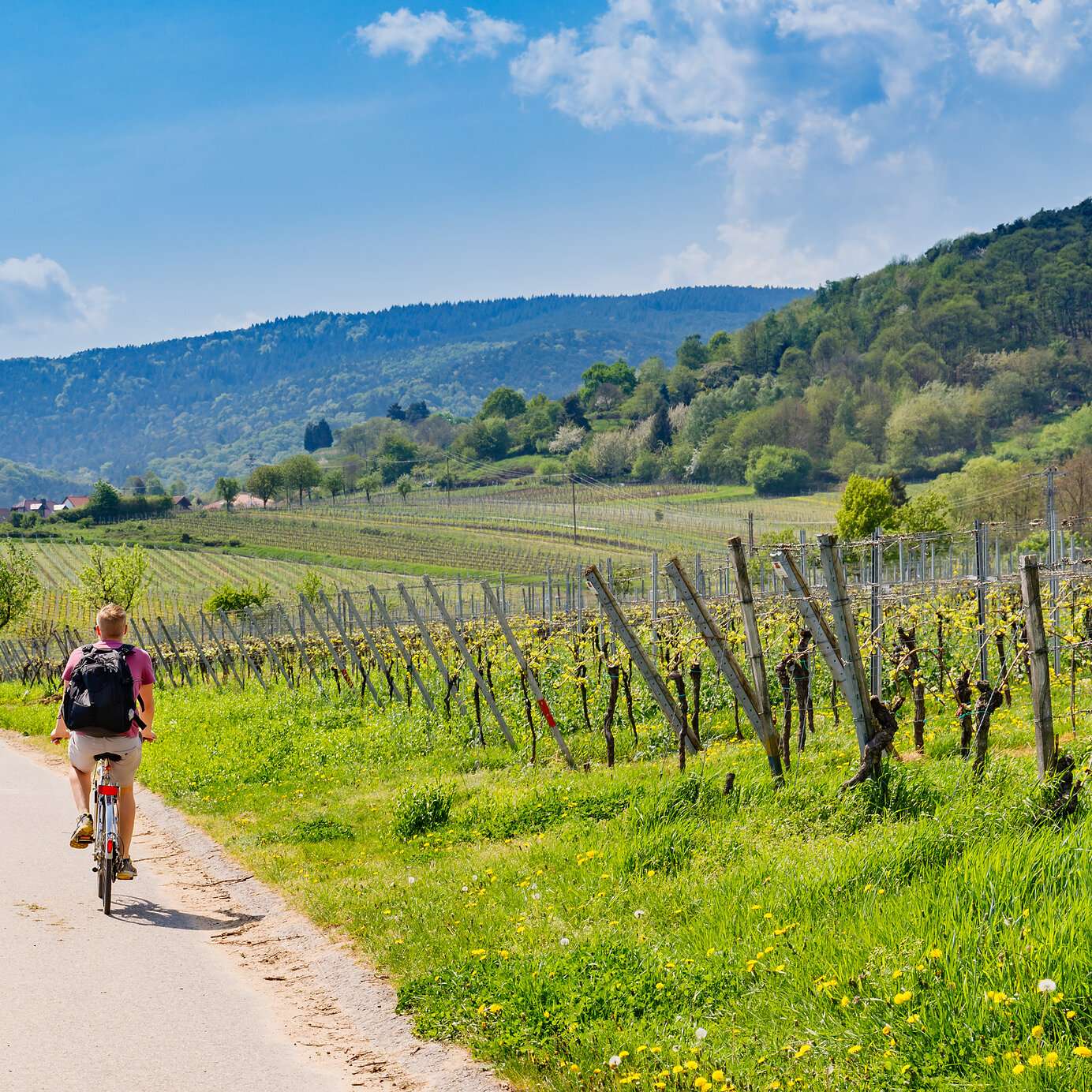 Séjournez dans un hôtel Pestana où vous pouvez faire du vélo dans la nature et profiter de vues panoramiques.