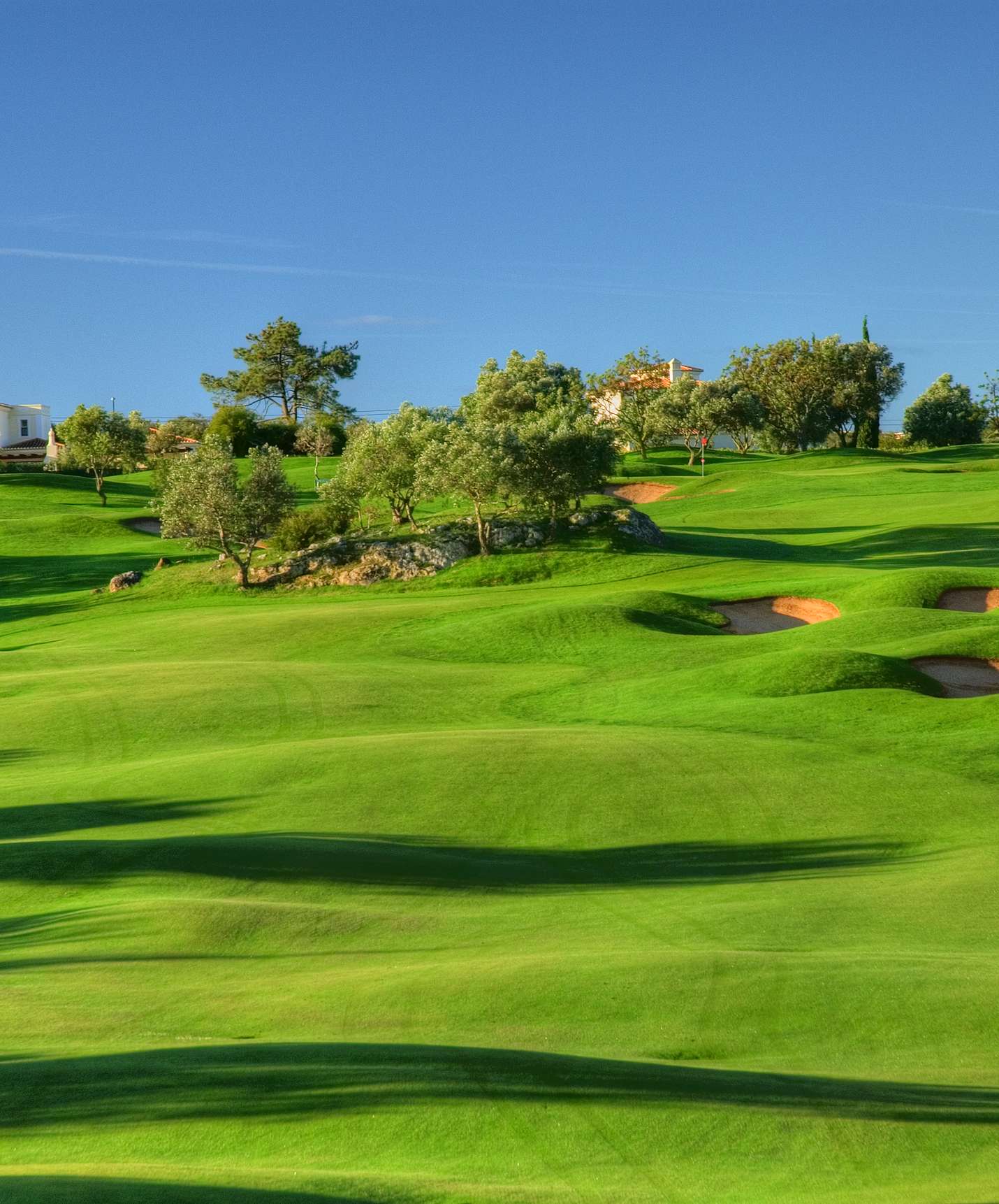 Terrain de golf vert à Carvoeiro, près du Pestana Palm Gardens, avec bunkers de sable et plusieurs arbres