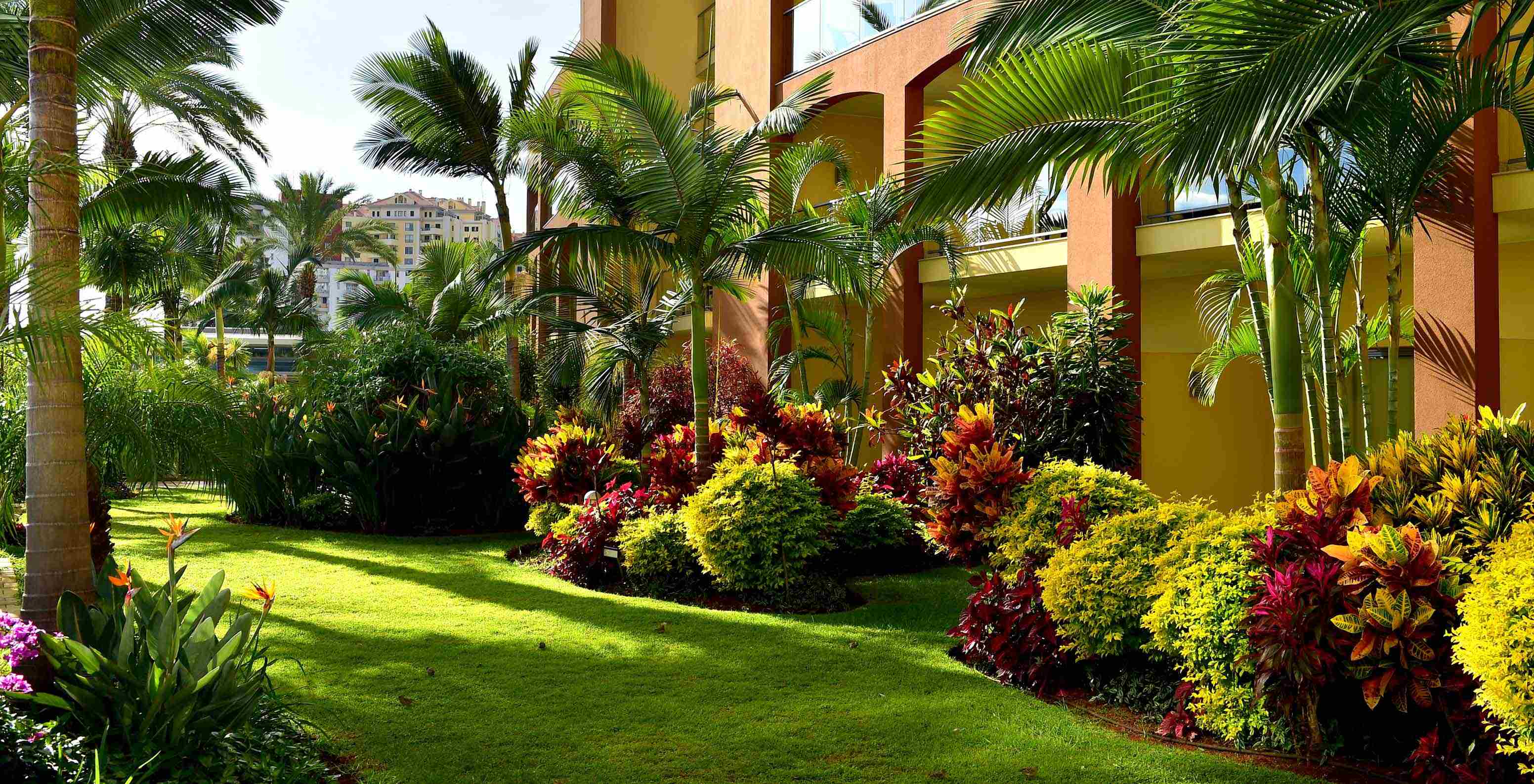 Jardins du Pestana Promenade, hôtel à Madère près de la plage et du Lido, avec palmiers et plantes colorées