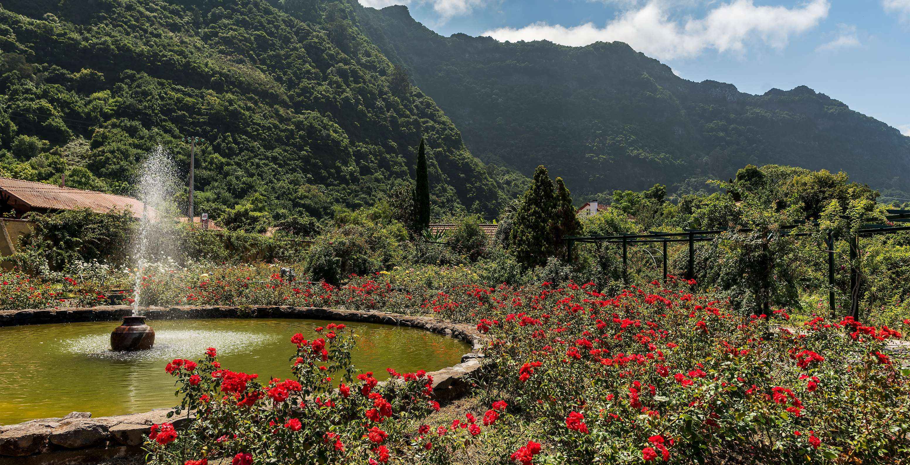Fontaine au centre du rosier de la Quinta do Arco, avec beaucoup de végétation et de roses rouges, avec les montagnes au fond