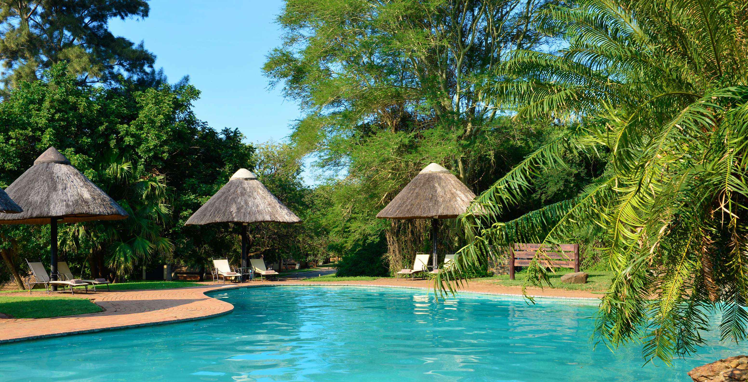 Piscine extérieure au milieu de la végétation du Pestana Kruger Lodge hôtel avec piscine près du parc Kruger
