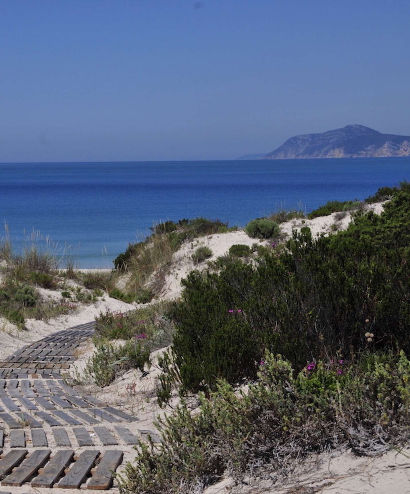 Passadiço em madeira que dá acesso direto à Praia de Soltroia a partir do Pestana Tróia Eco Resort