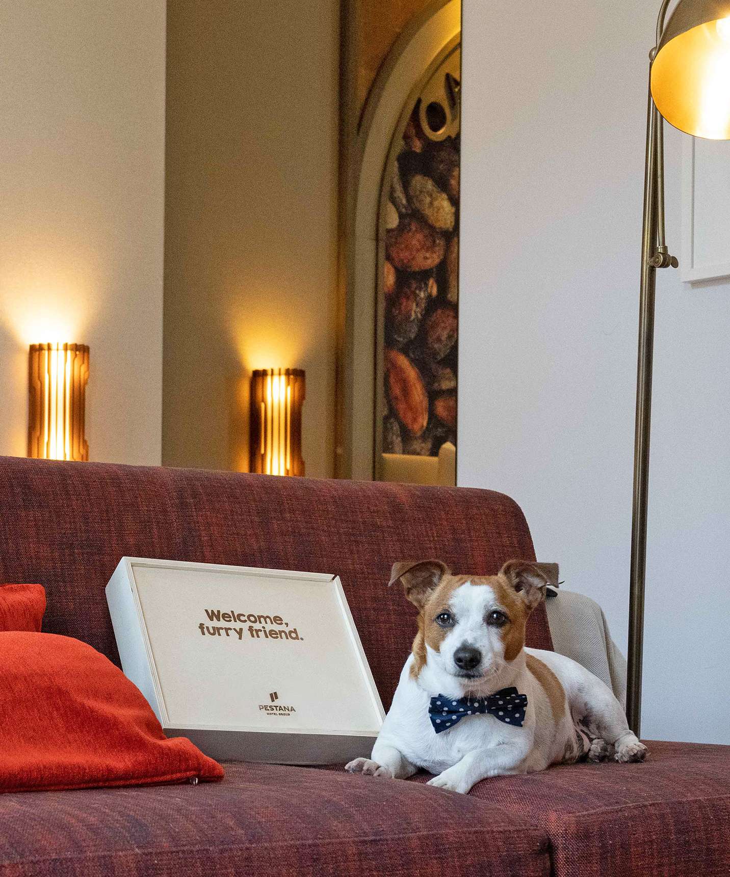 O Pestana A Brasileira é um hotel pet-friendly, onde os cães podem relaxar com os donos no seu quarto