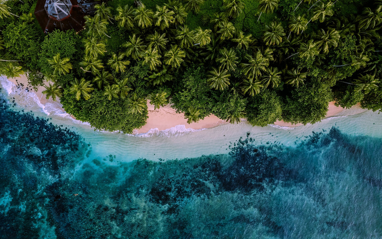 Tropische Insel São Tomé mit hellem Sandstrand, kristallklarem Wasser und üppiger Palmenvegetation