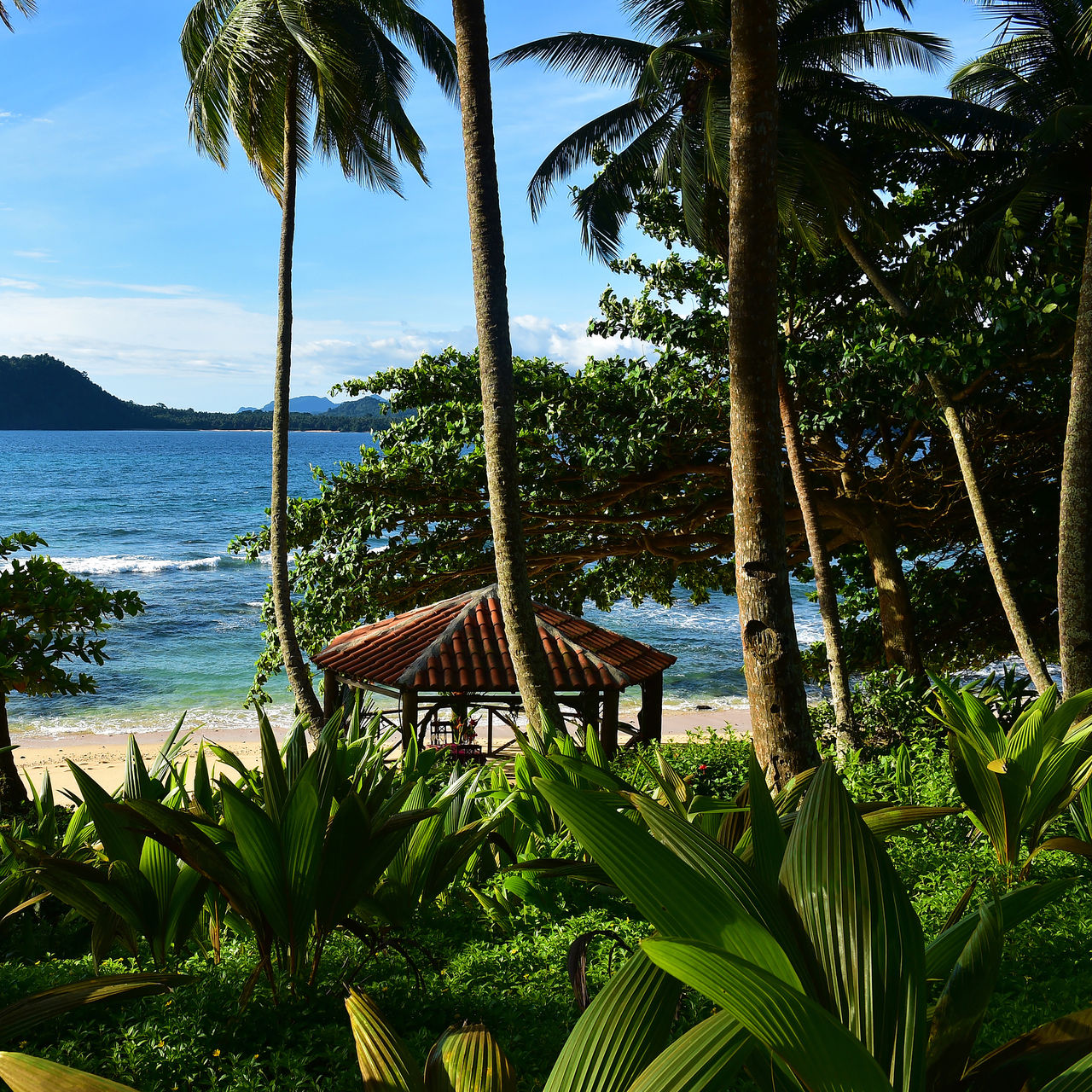 Blick vom Pestana Equador Ilheu das Rolas zum Strand, mit Palmen, kristallklarem Wasser und Bergen