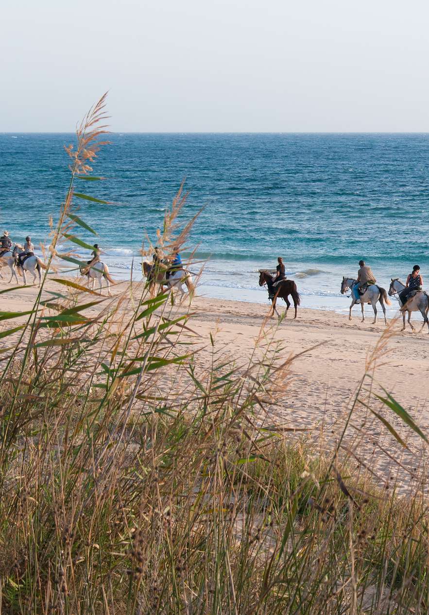 Gruppe von Menschen reitet am Strand entlang in Tróia und Comporta