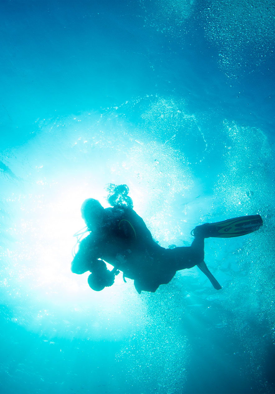 Im Ocean Revival Park haben Sie die Möglichkeit, vier Schiffe zu tauchen und zu erkunden