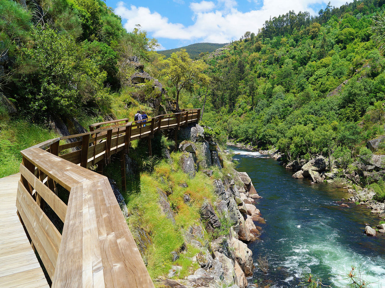 Eine schöne Flusslandschaft, umgeben von Natur, mit einem Holzsteg zum Spazierengehen