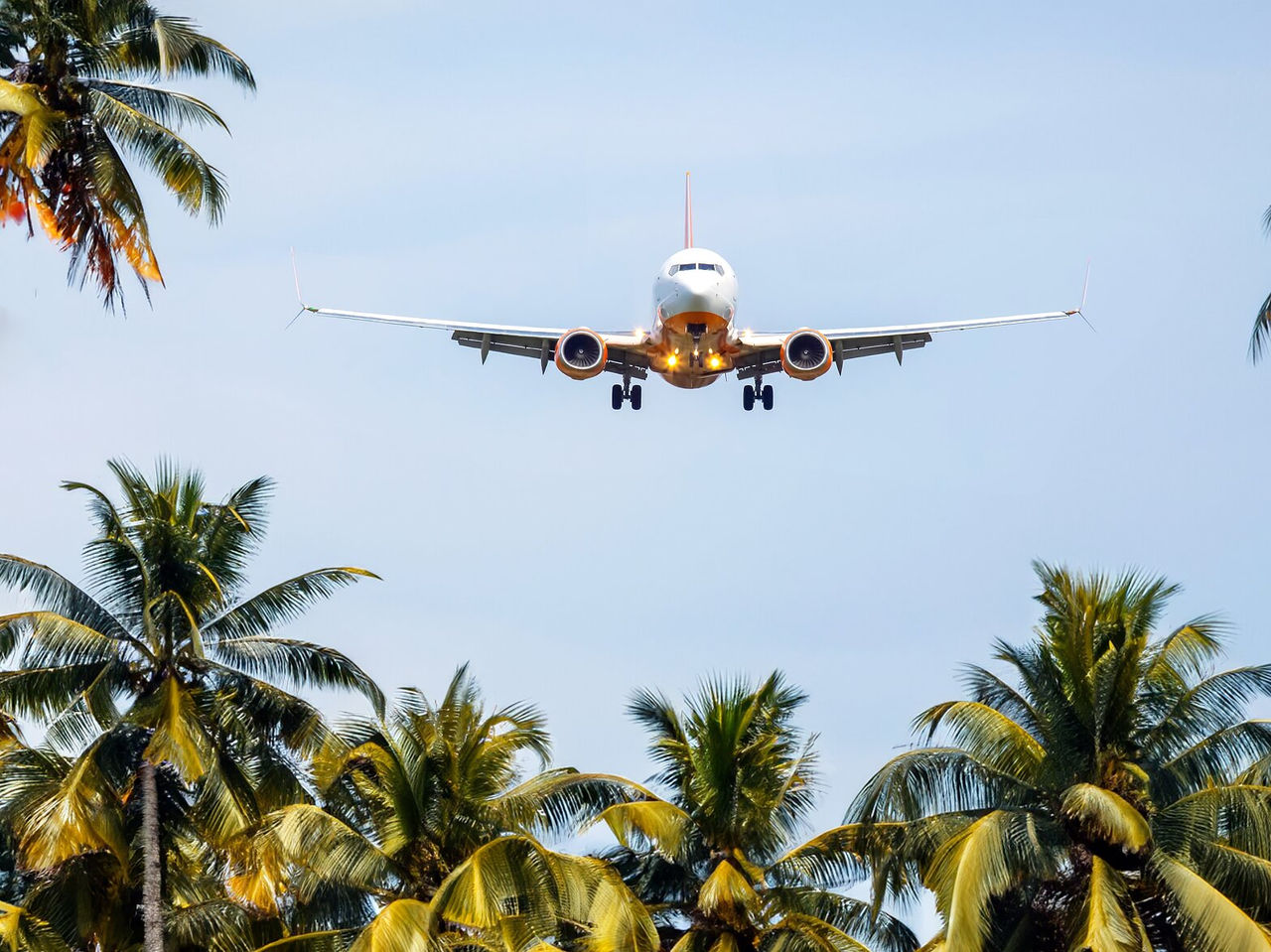 Verkehrsflugzeug bereitet sich darauf vor, auf der Landebahn zu landen