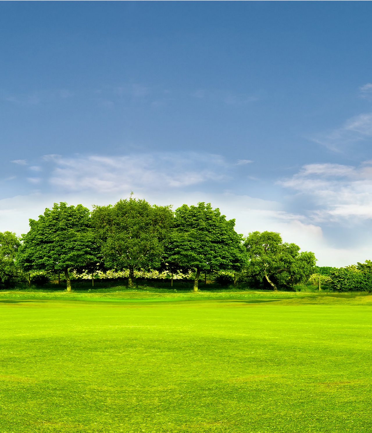 Weites grünes Feld, umgeben von hohen Bäumen unter einem blauen Himmel mit einigen Wolken, in Buenos Aires