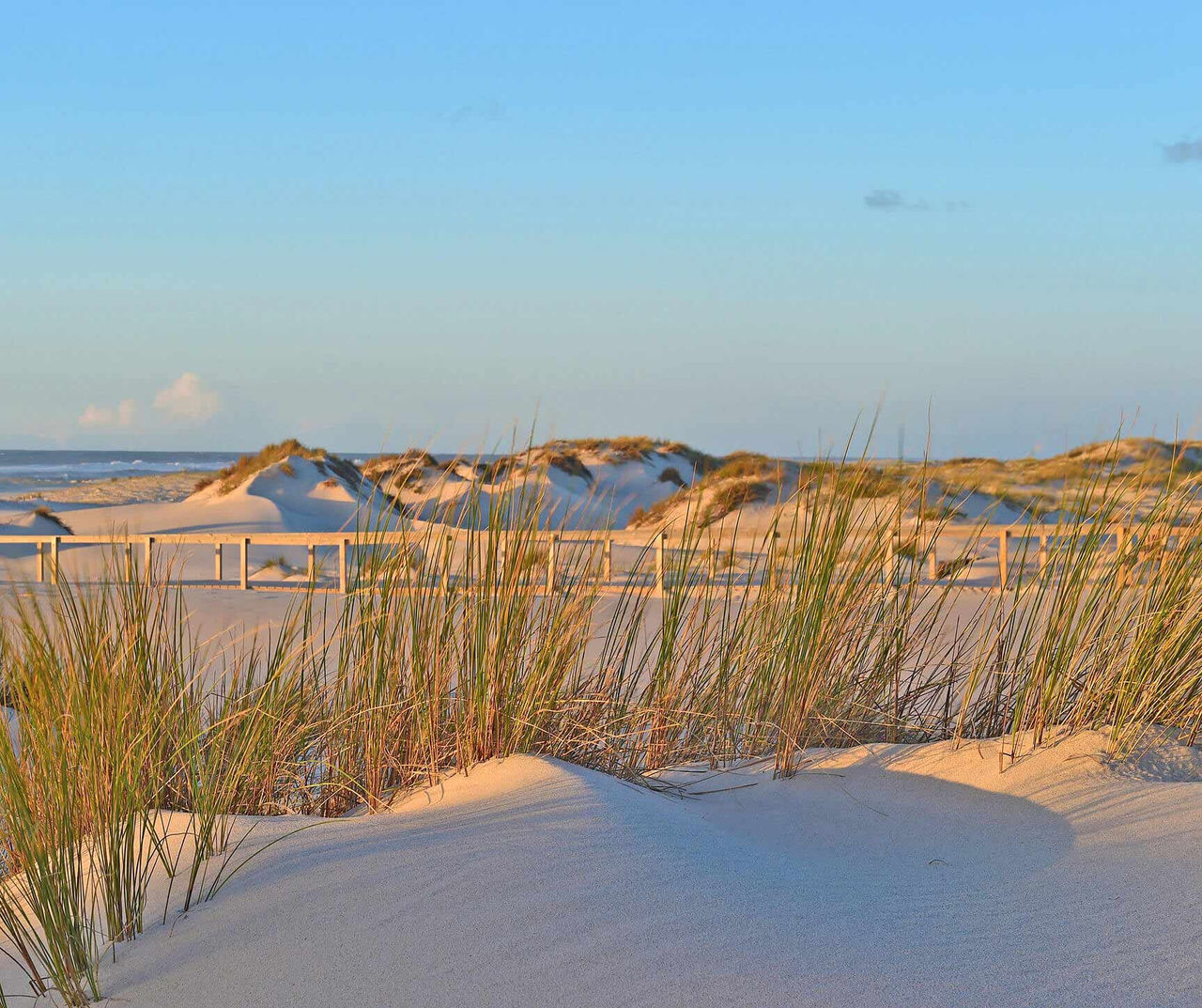 Bleiben Sie im Pestana in Zentral-Portugal, die perfekte Umgebung zum Entspannen und Frischlufttanken