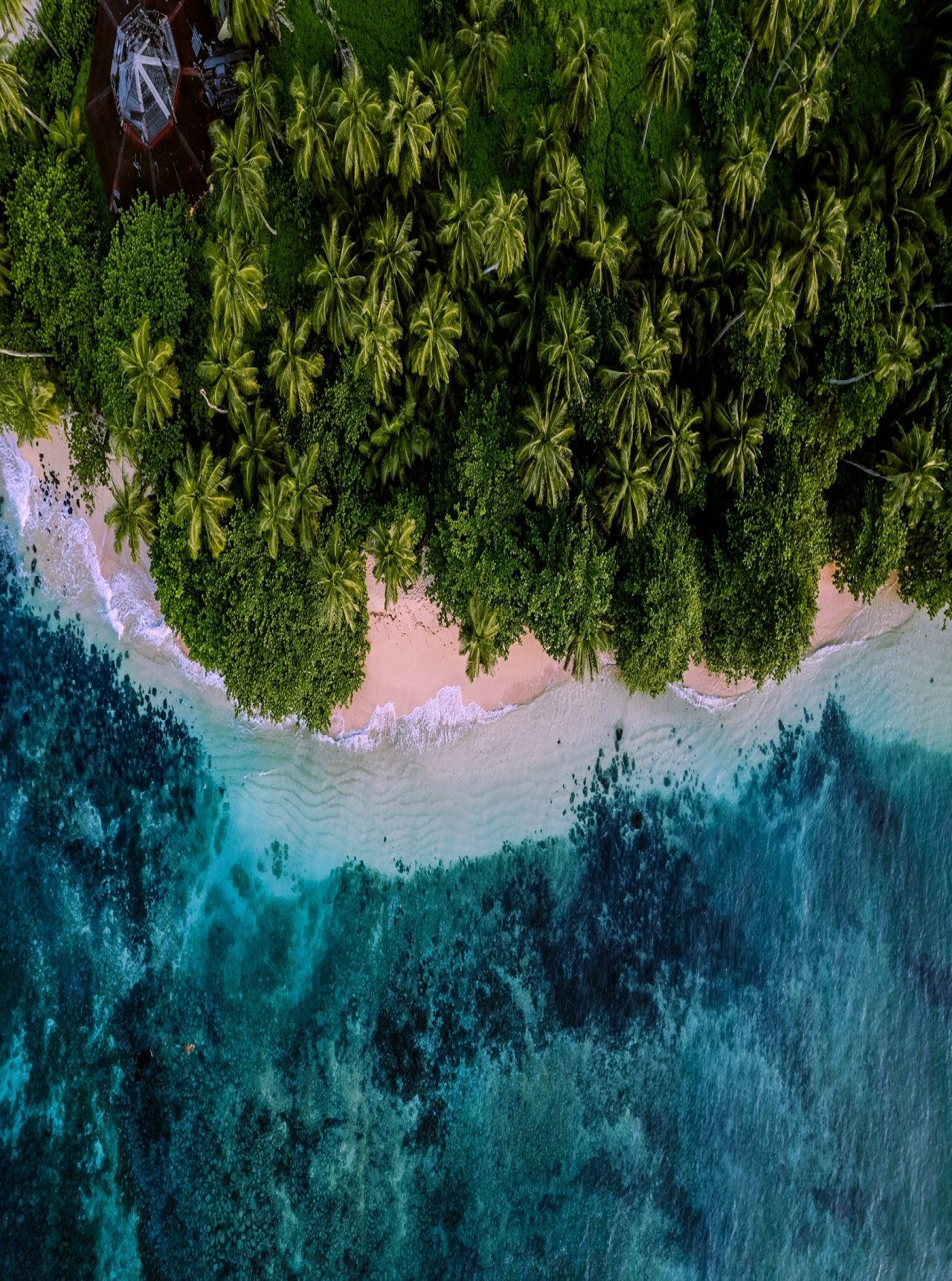 Tropical island of São Tomé with light sandy beach, crystal-clear waters, and lush palm vegetation