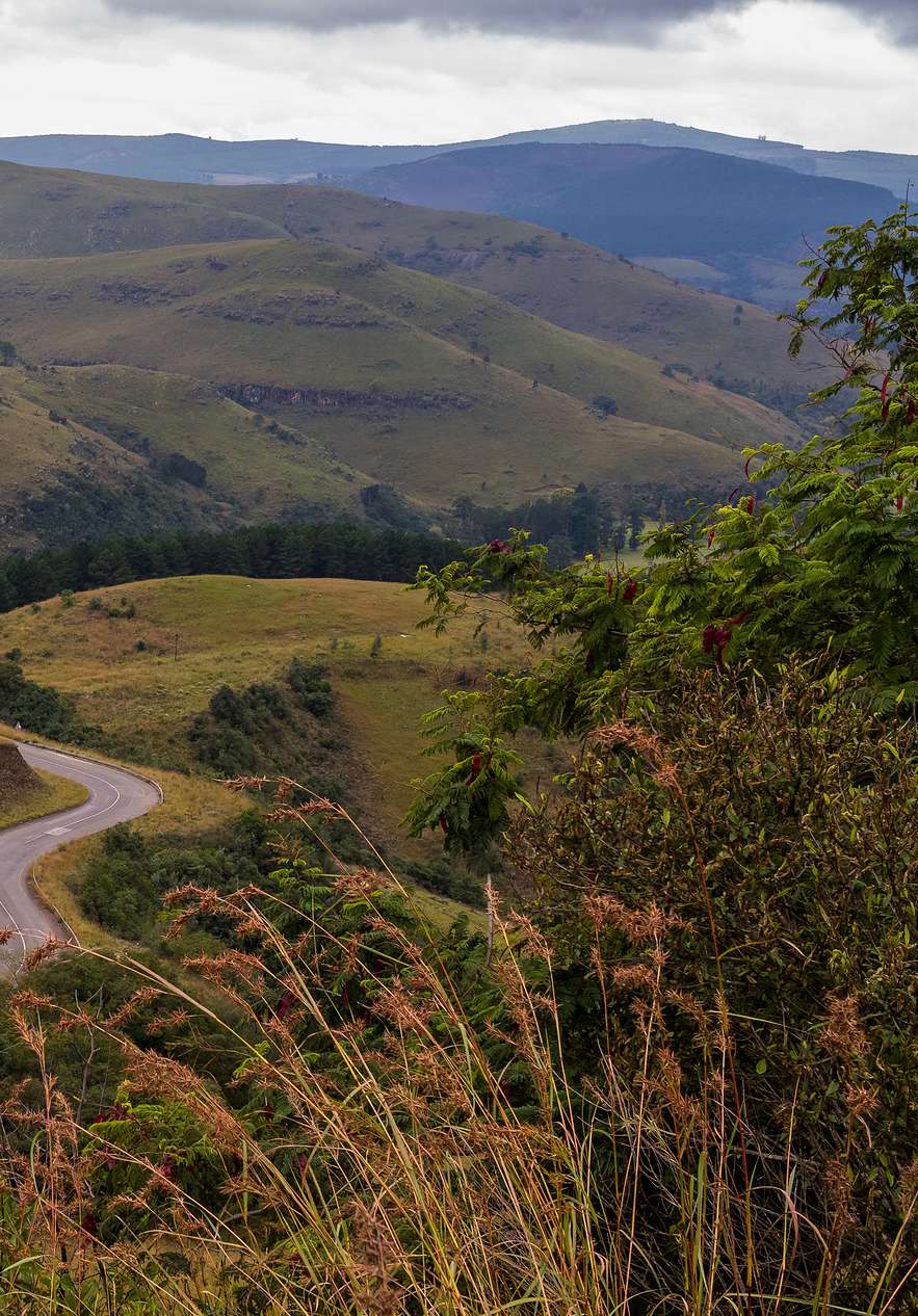 Three Rondavels are three mountains resembling traditional African huts covered in lush greenery