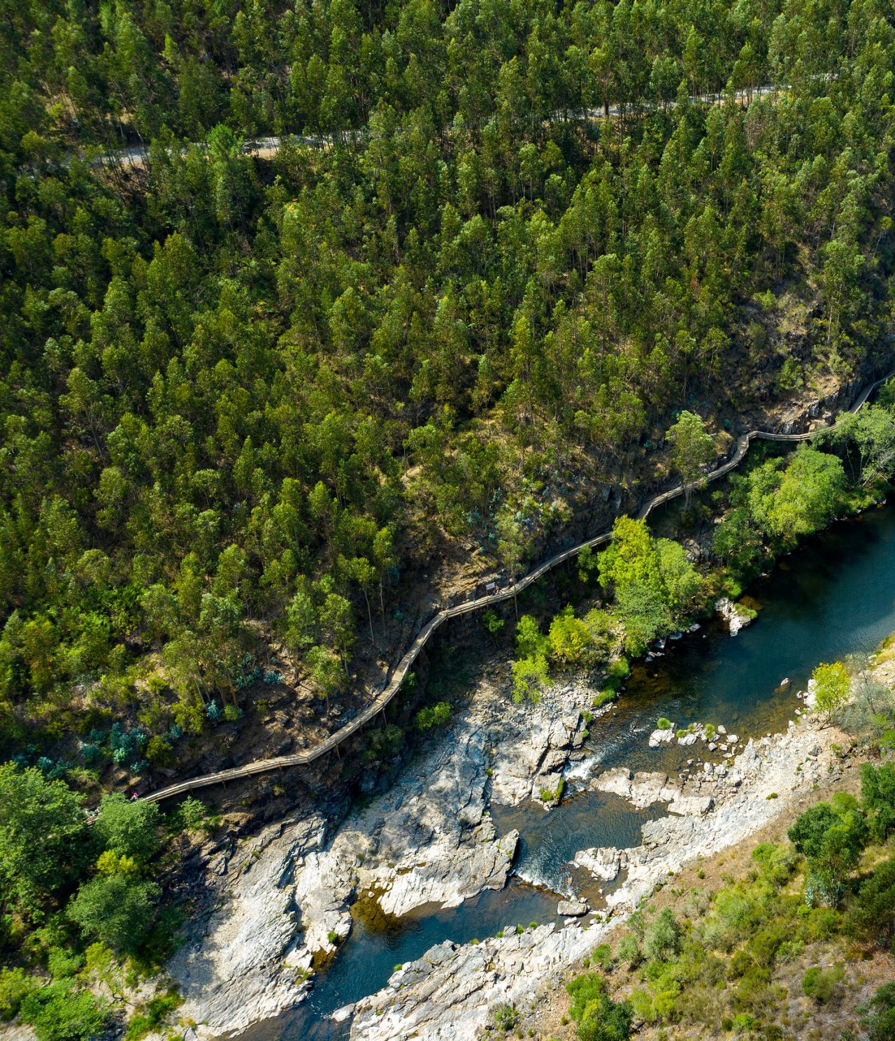 Aerial view of a river winding through a lush forest