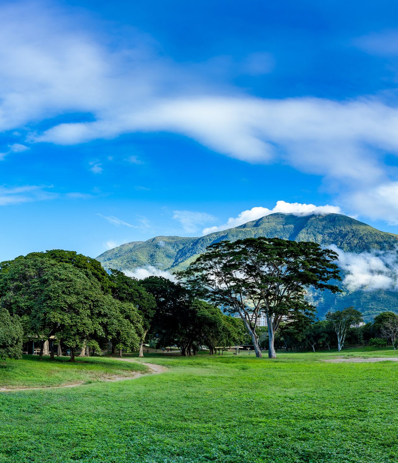 Wide natural landscape with an imposing mountain in the background, covered by clouds and a blue sky in Caracas