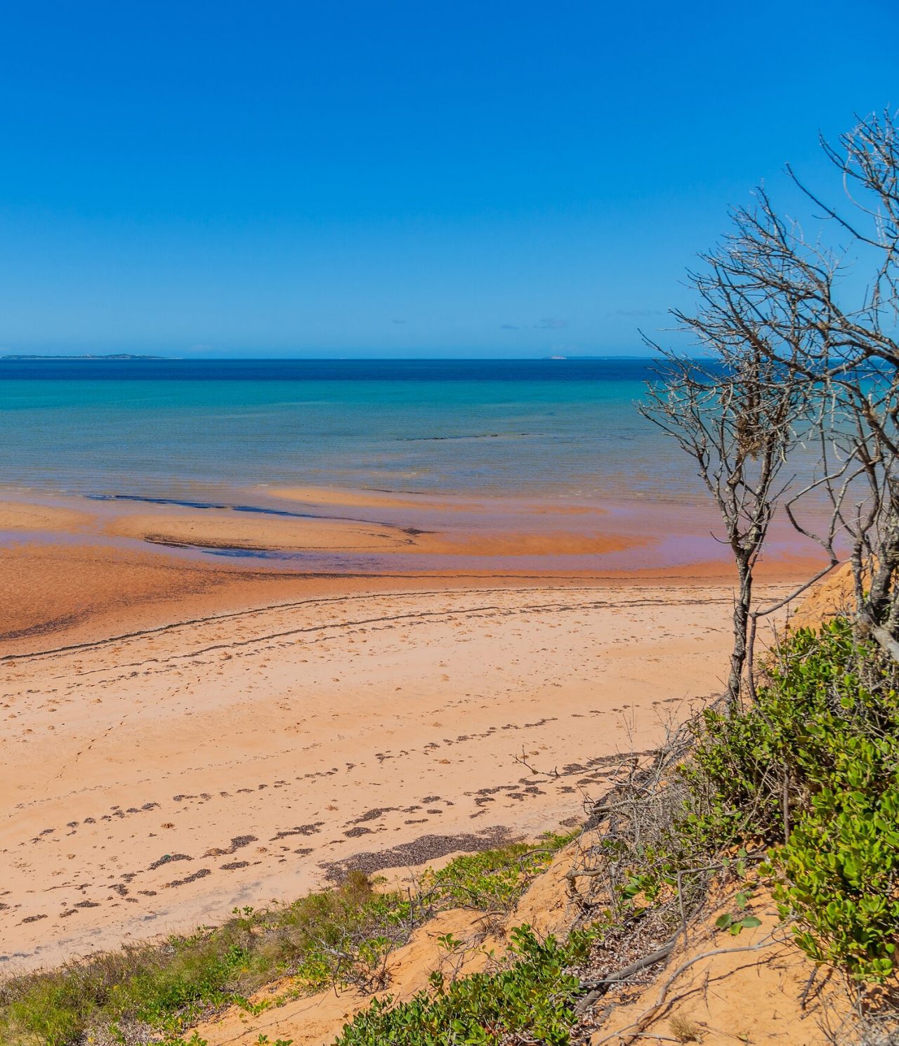 Vue sur une plage déserte à Maputo avec quelques arbres et la mer bleue en arrière-plan