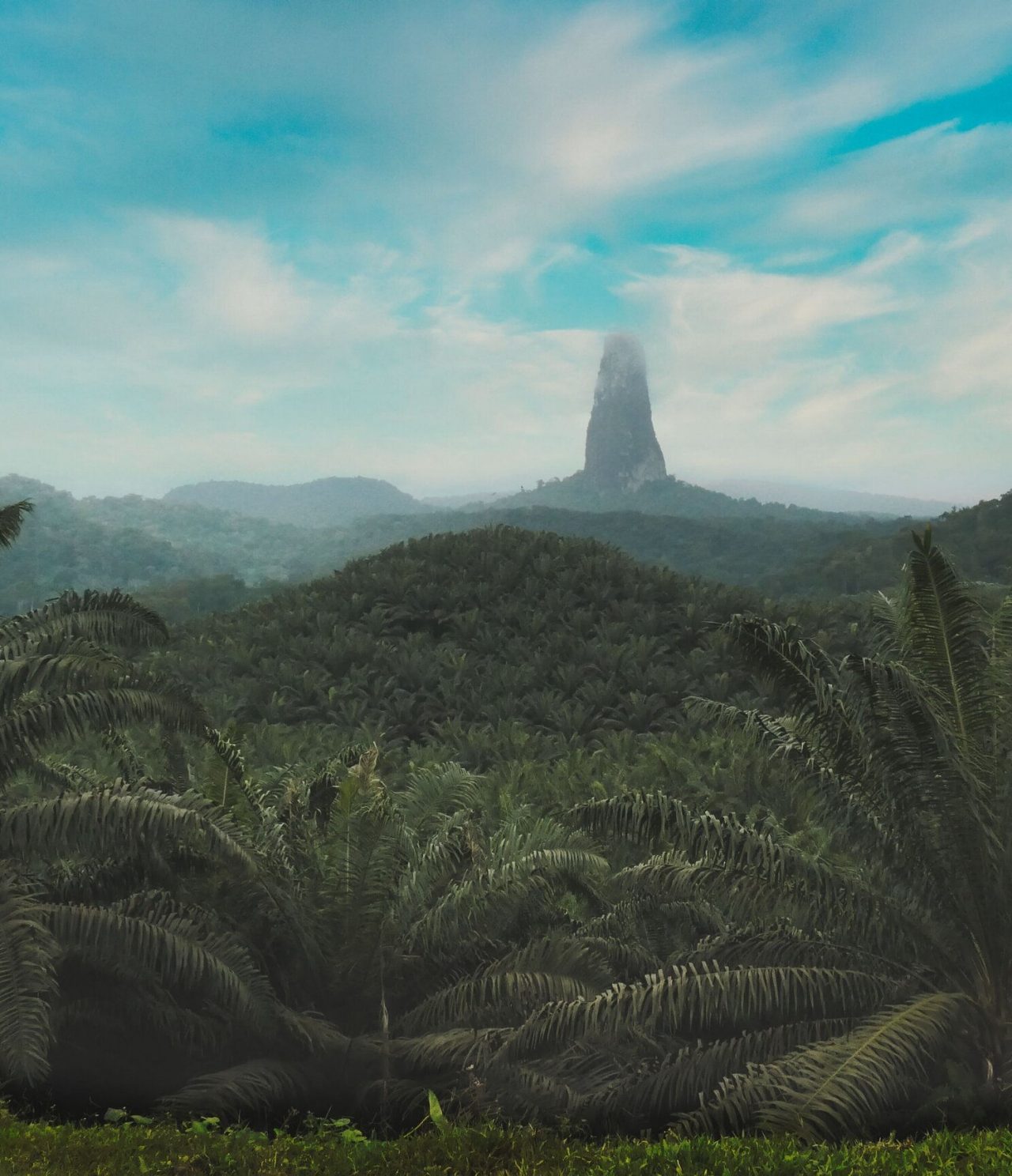 Vue d'une forêt sur l'île de São Tomé et Príncipe, avec un peu de brouillard au fond et un ciel bleu