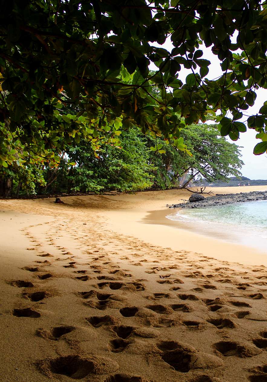 Plage à Ilhéu das Rolas, avec du sable doré s'étendant jusqu'à la mer calme et des montagnes en arrière-plan