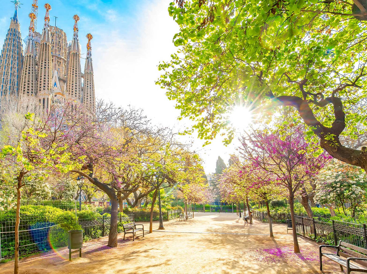 Jardin avec des arbres colorés et un chemin, avec la Sagrada Família en arrière-plan, par une journée ensoleillée