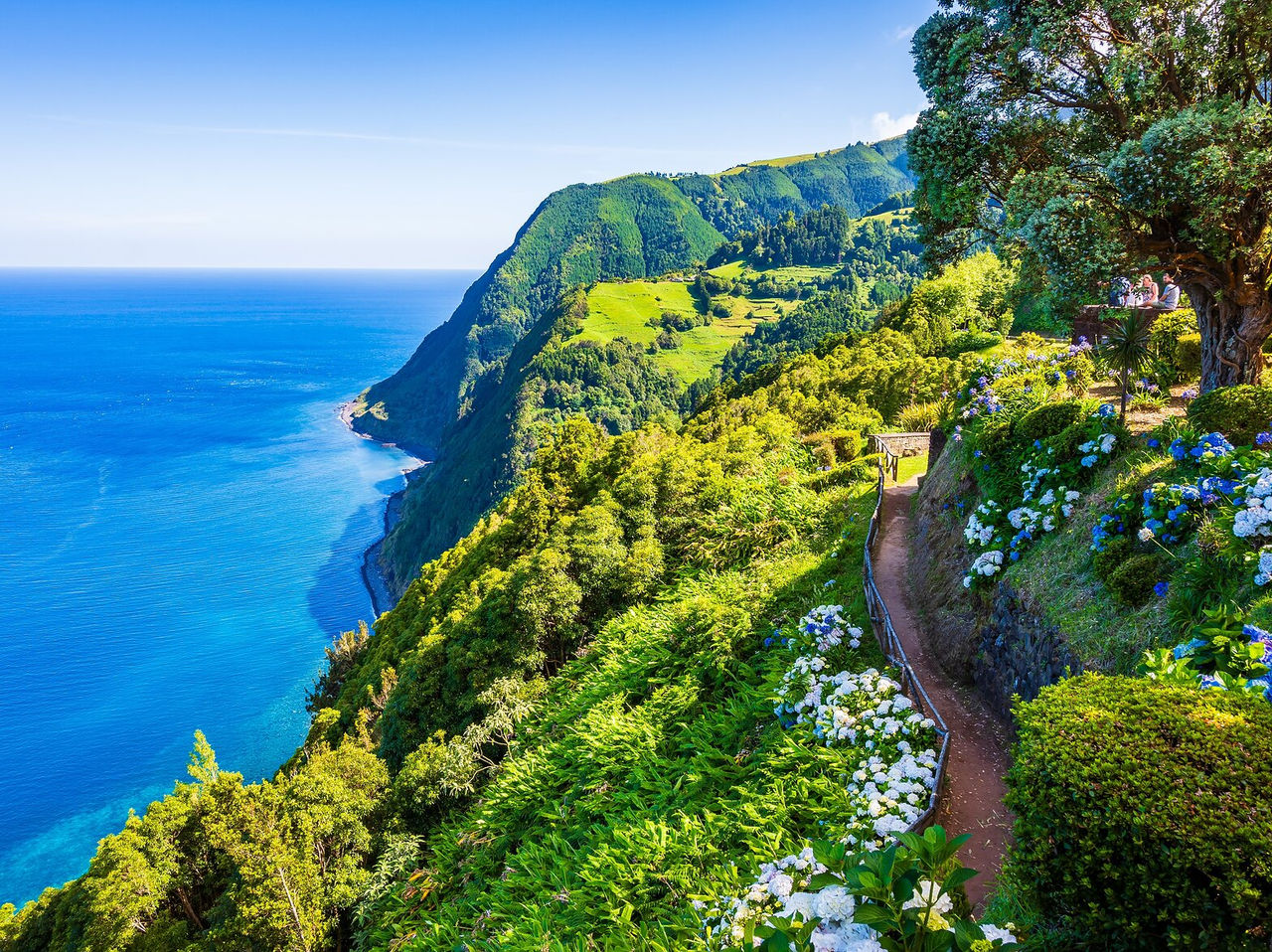 Colline verdoyante avec des hortensias devant l'océan Atlantique, avec des eaux cristallines et un ciel bleu clair