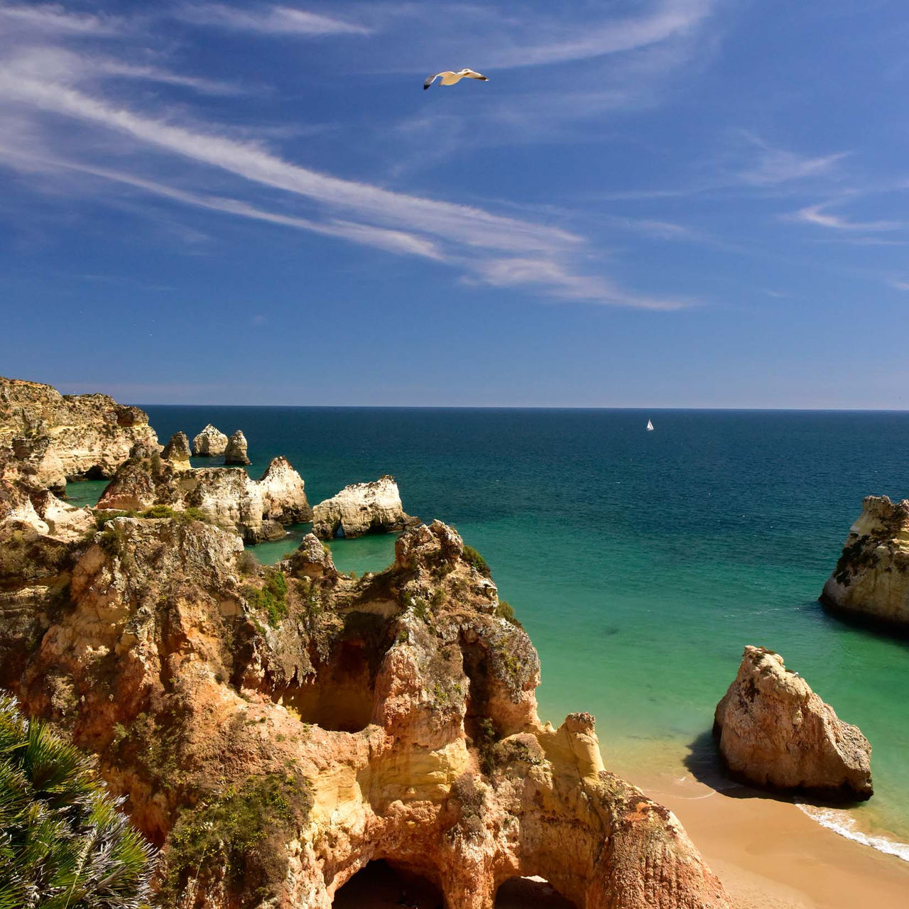 Vue de la plage des 3 Frères, avec des rochers, de la végétation, du sable, la mer et un ciel nuageux avec une mouette