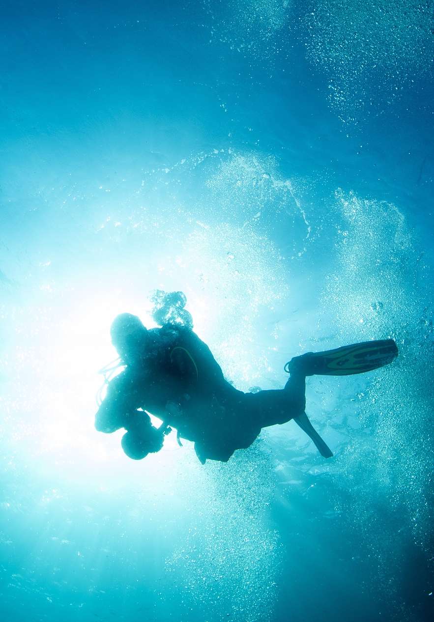 Au Parc Ocean Revival, plongez dans quatre navires et explorez-les