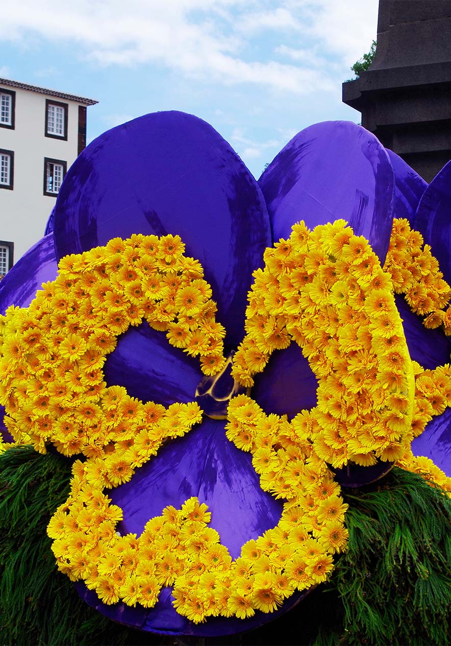 Séjournez au Pestana Casino Studios et découvrez la beauté de la Fête des Fleurs, avec toutes sortes de fleurs colorées