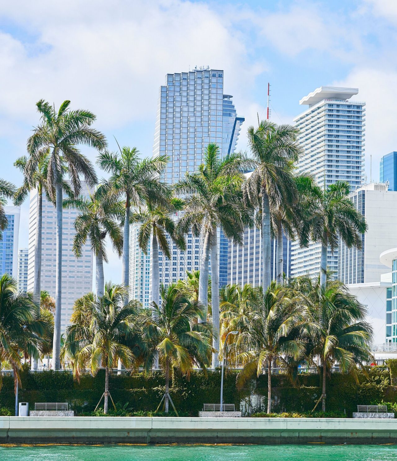 Vue sur la mer des gratte-ciel de Miami et des palmiers caractéristiques de la ville
