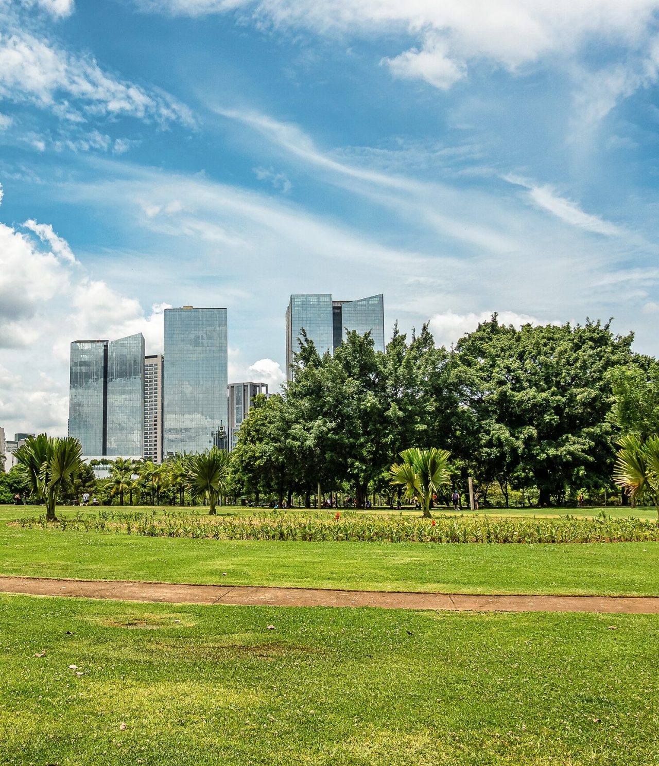 Vue d'un jardin à São Paulo, avec de l'herbe et divers types d'arbres, et des immeubles hauts et réfléchissants