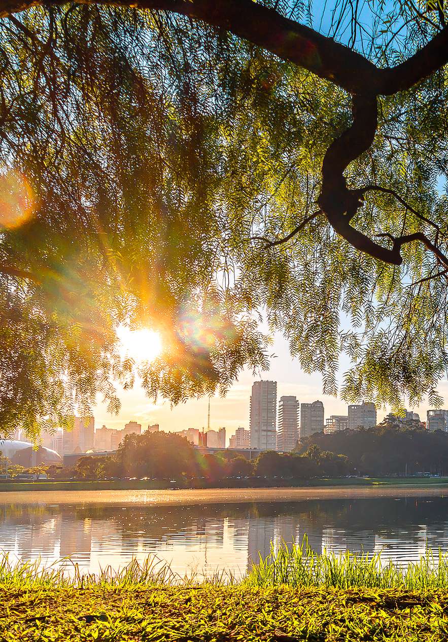 Parc Ibirapuera à São Paulo, un refuge vert au milieu de la ville, avec un lac reflétant le ciel bleu